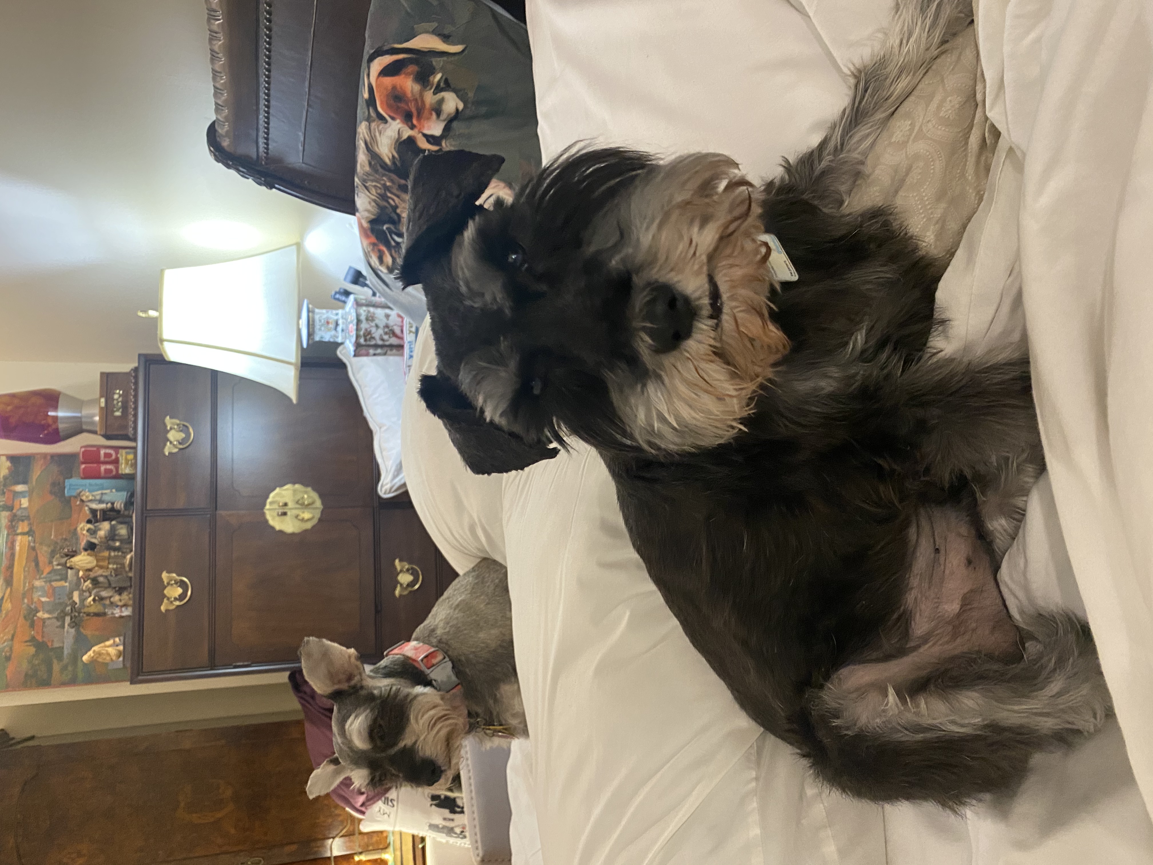 IMG_0038.jpeg