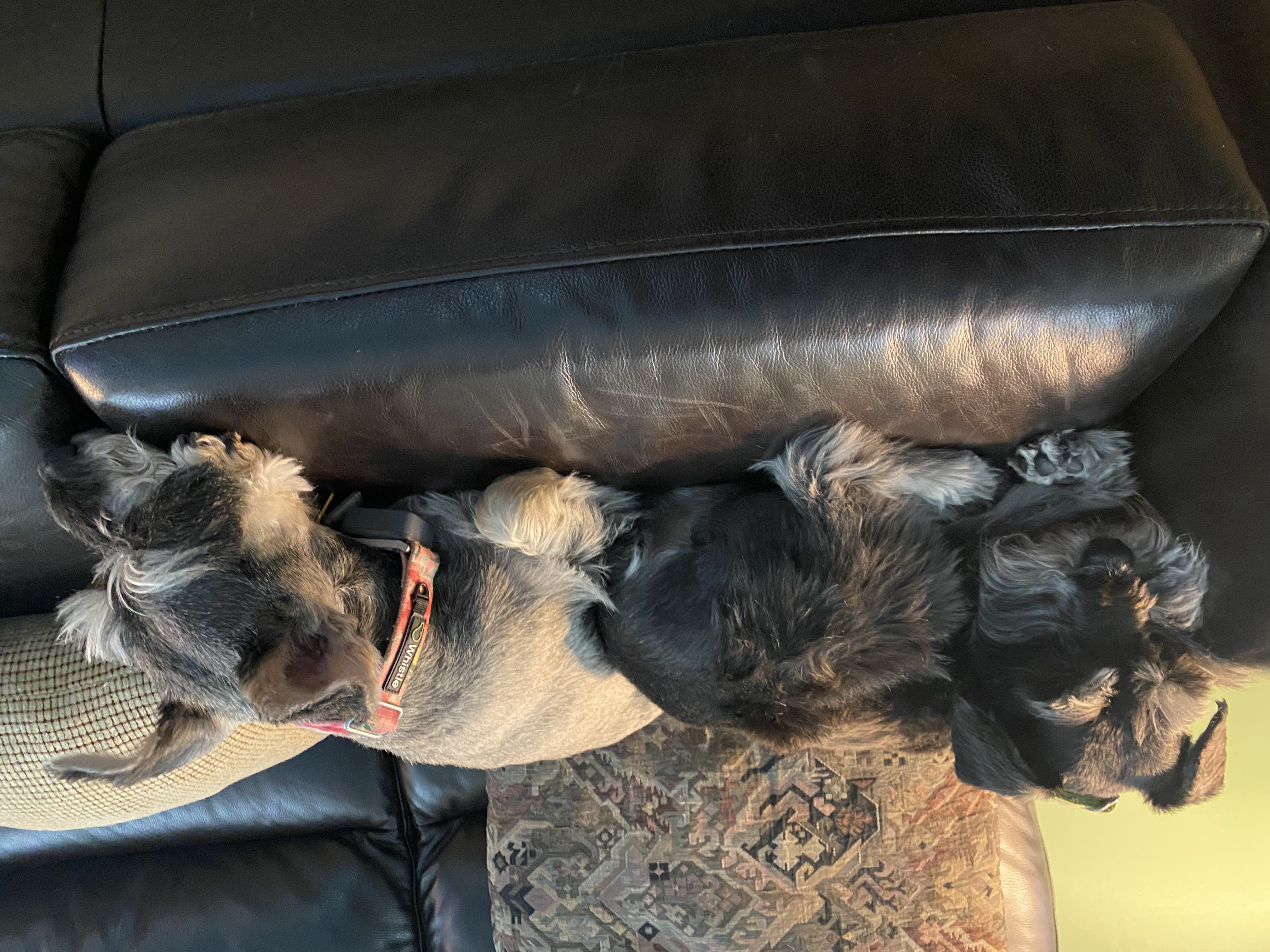 IMG_0193.jpeg