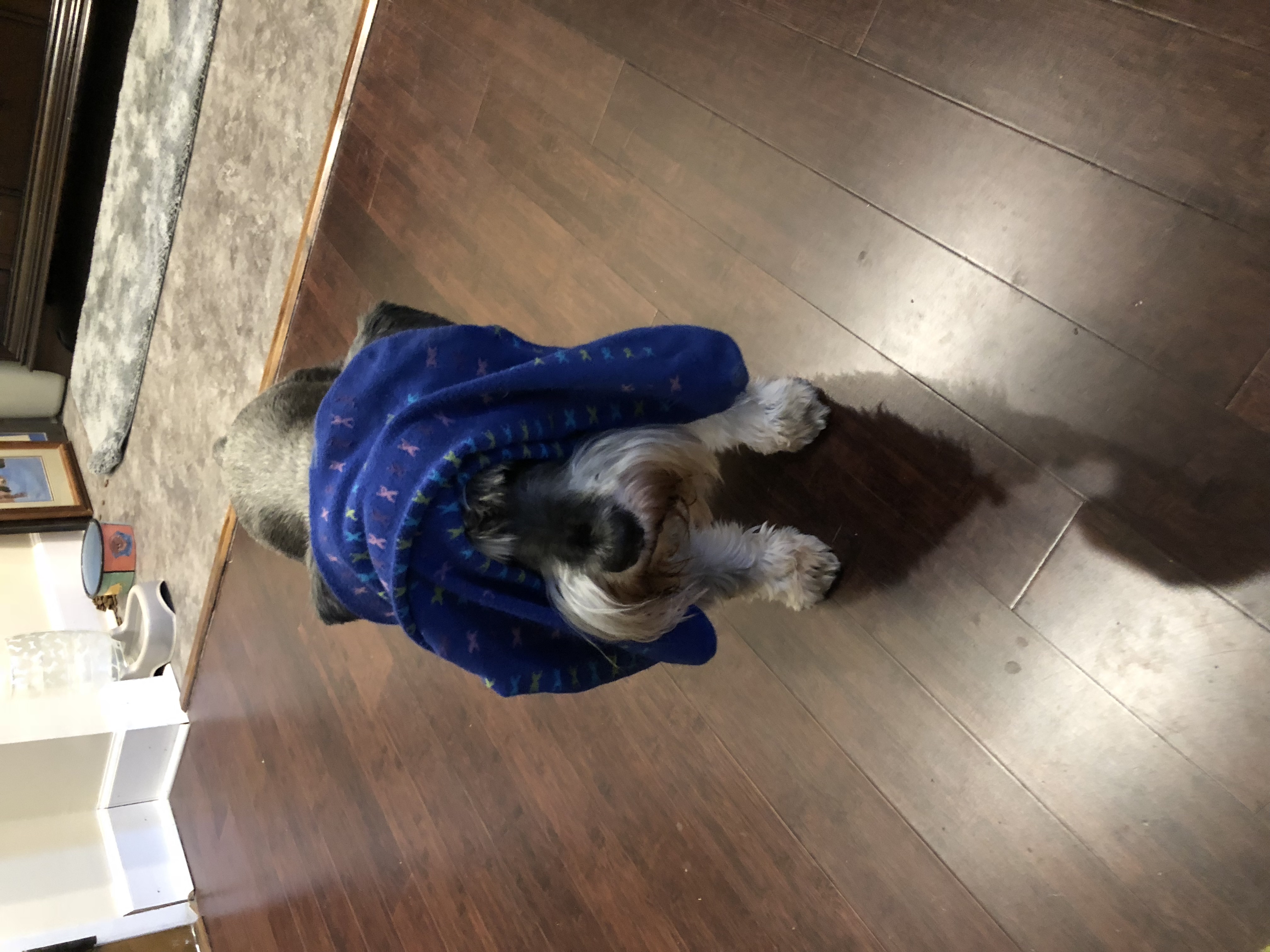 IMG_0367.jpeg