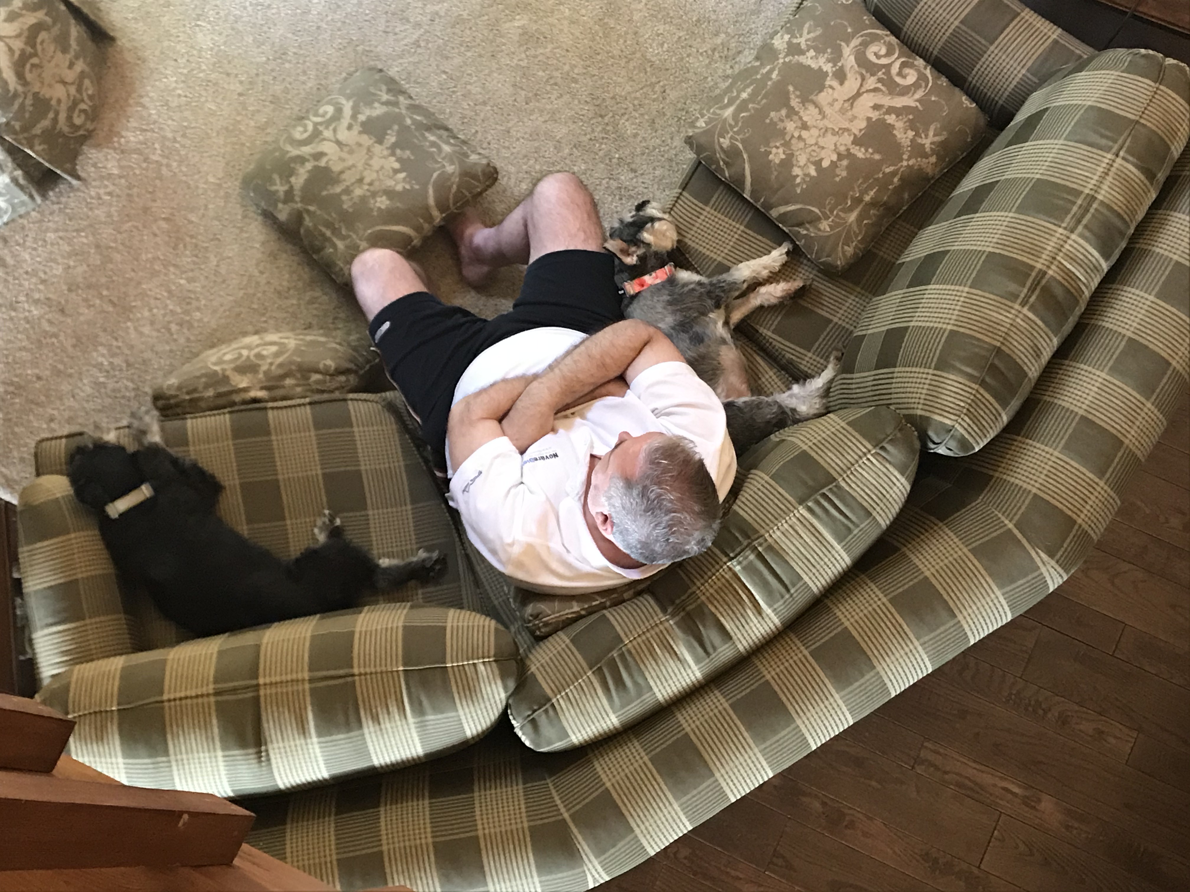 IMG_0456.jpeg
