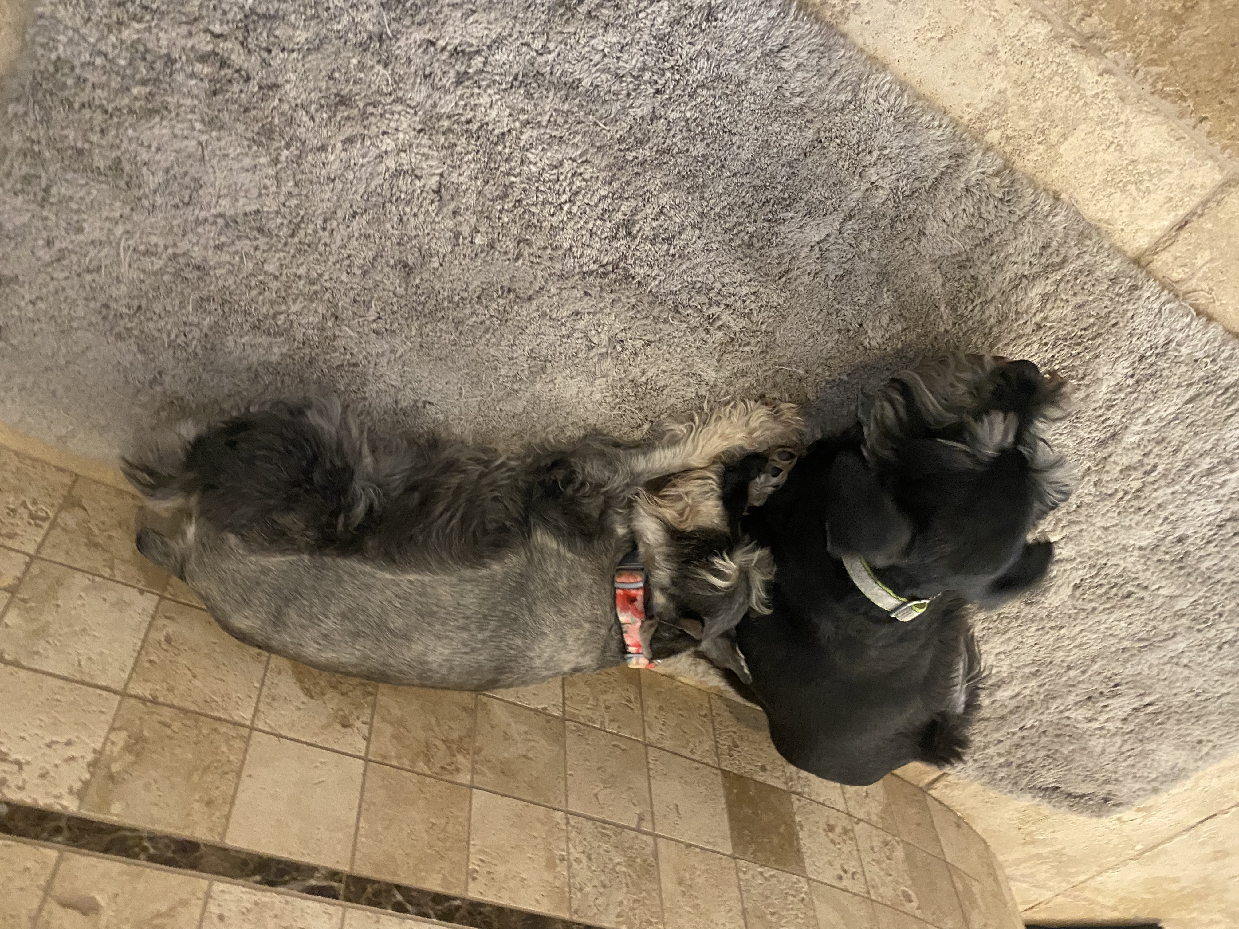 IMG_3014.jpeg