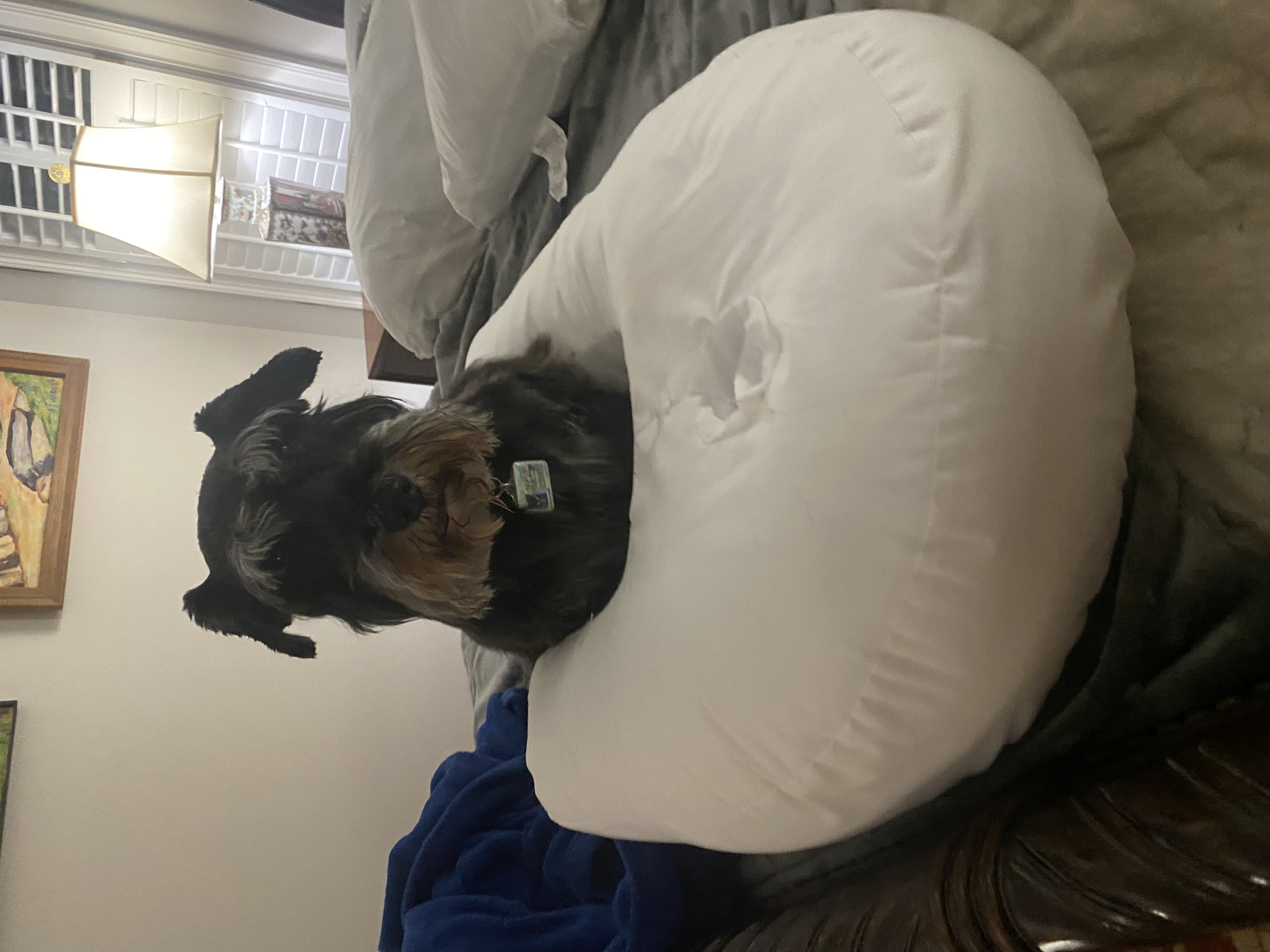 IMG_3106.jpeg