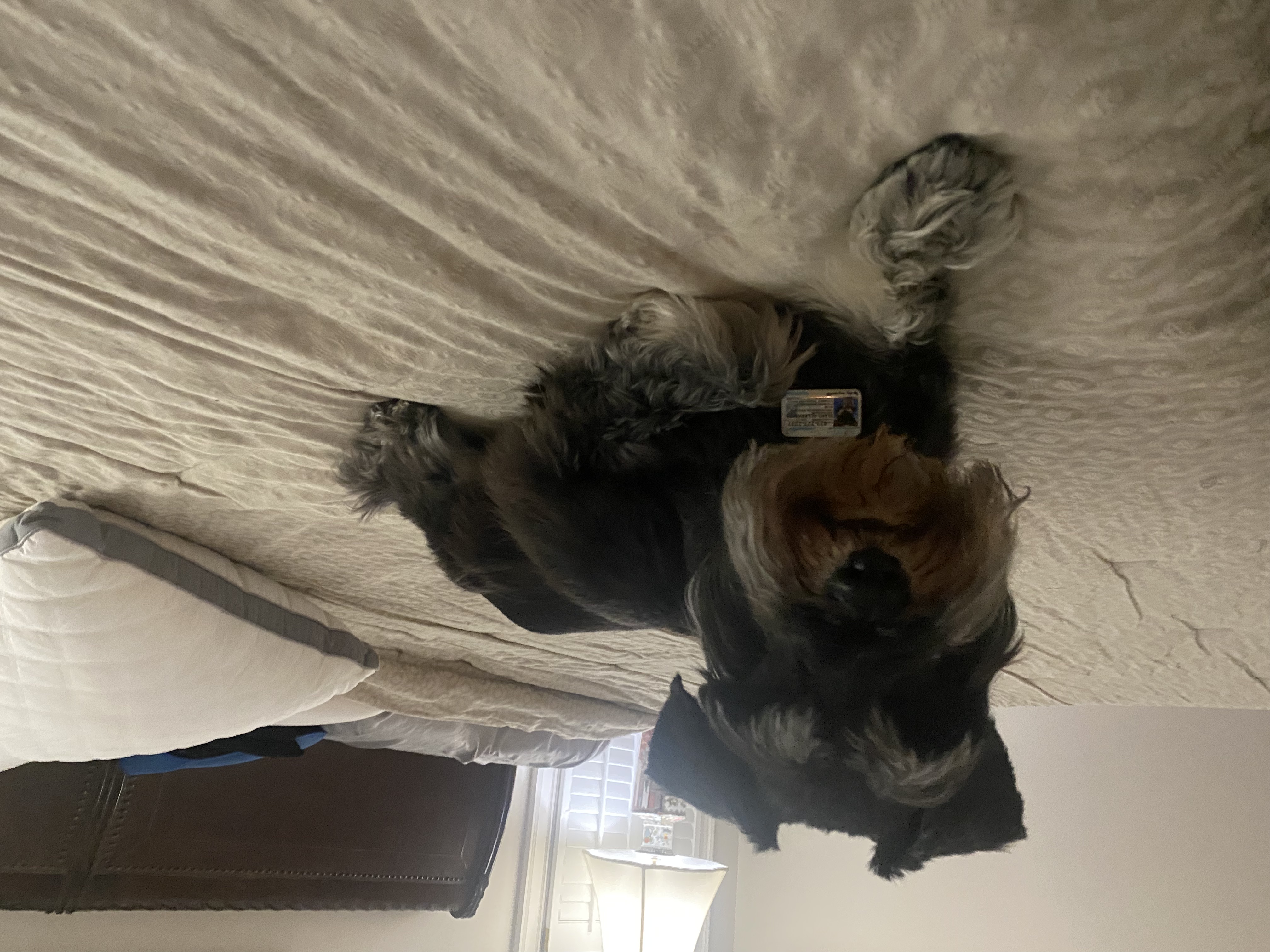 IMG_3133.jpeg
