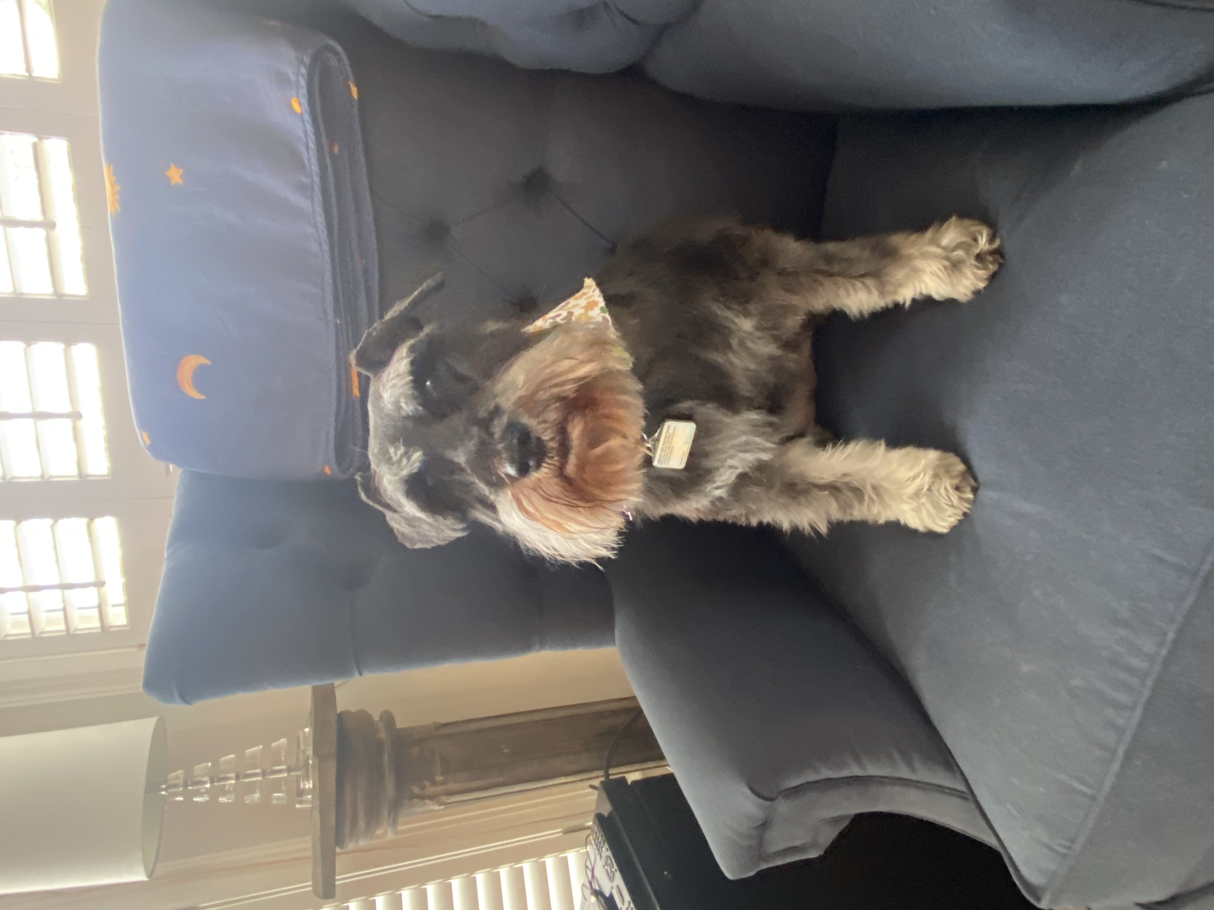 IMG_3200.jpeg