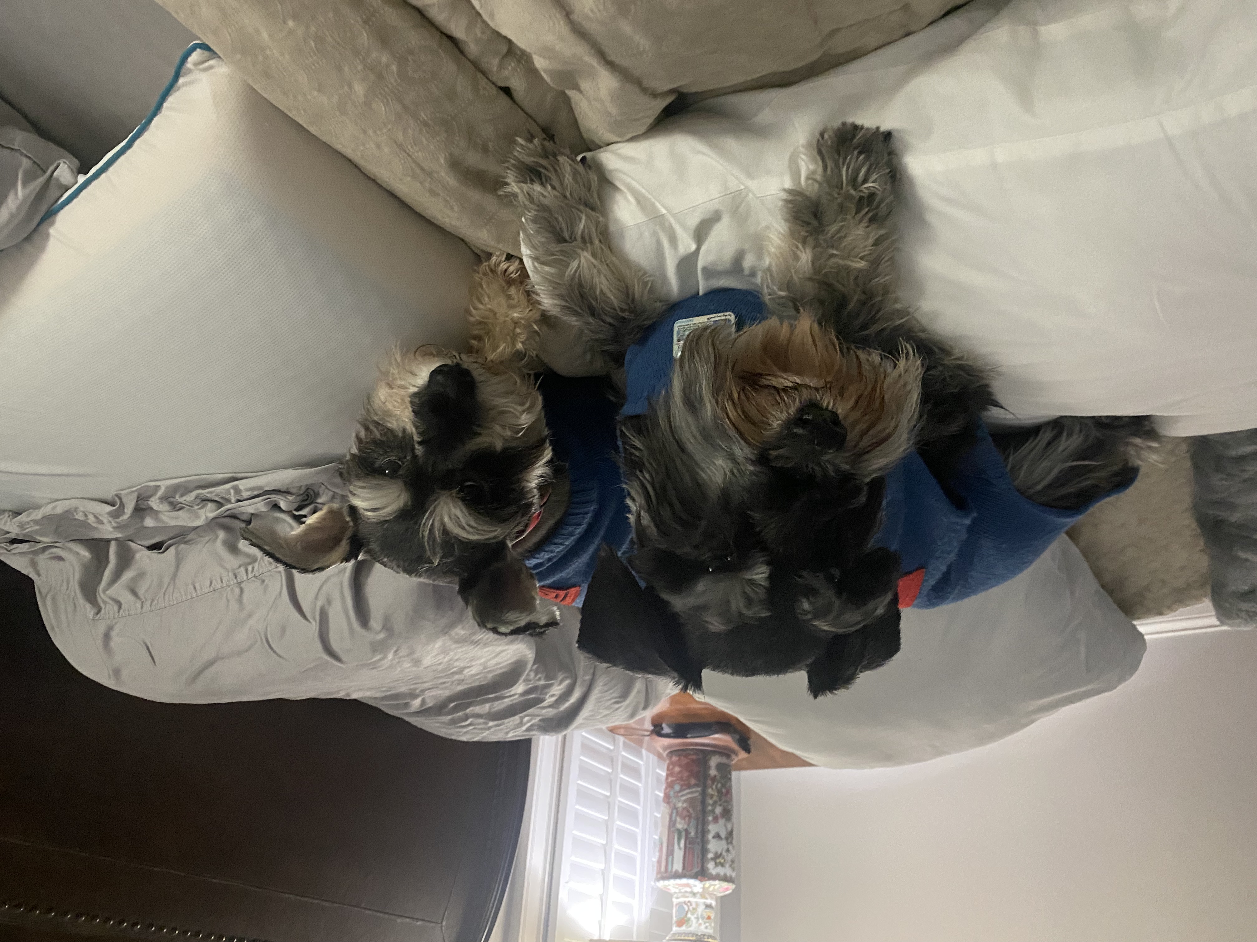 IMG_3428.jpeg