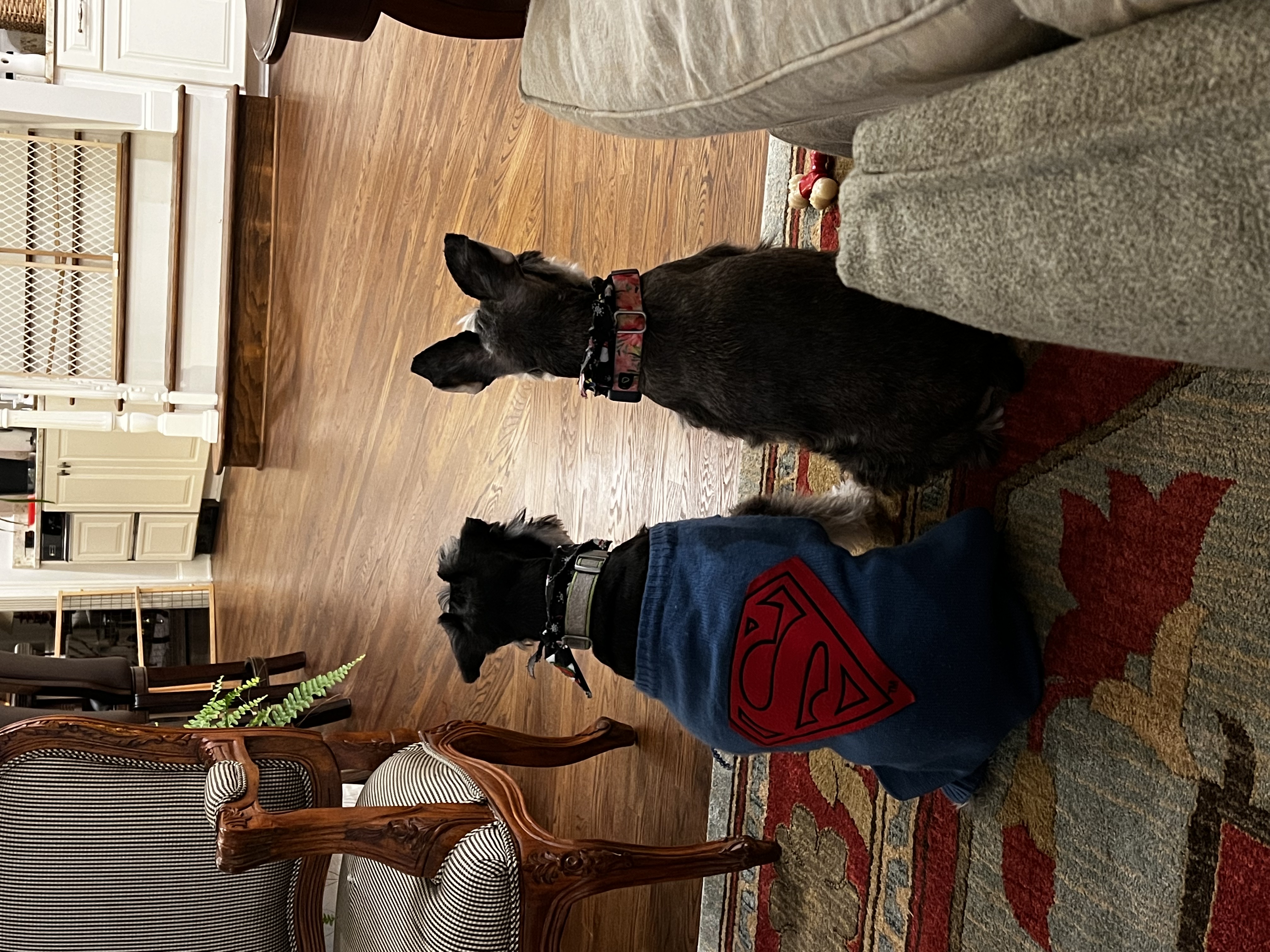 IMG_3496.jpeg