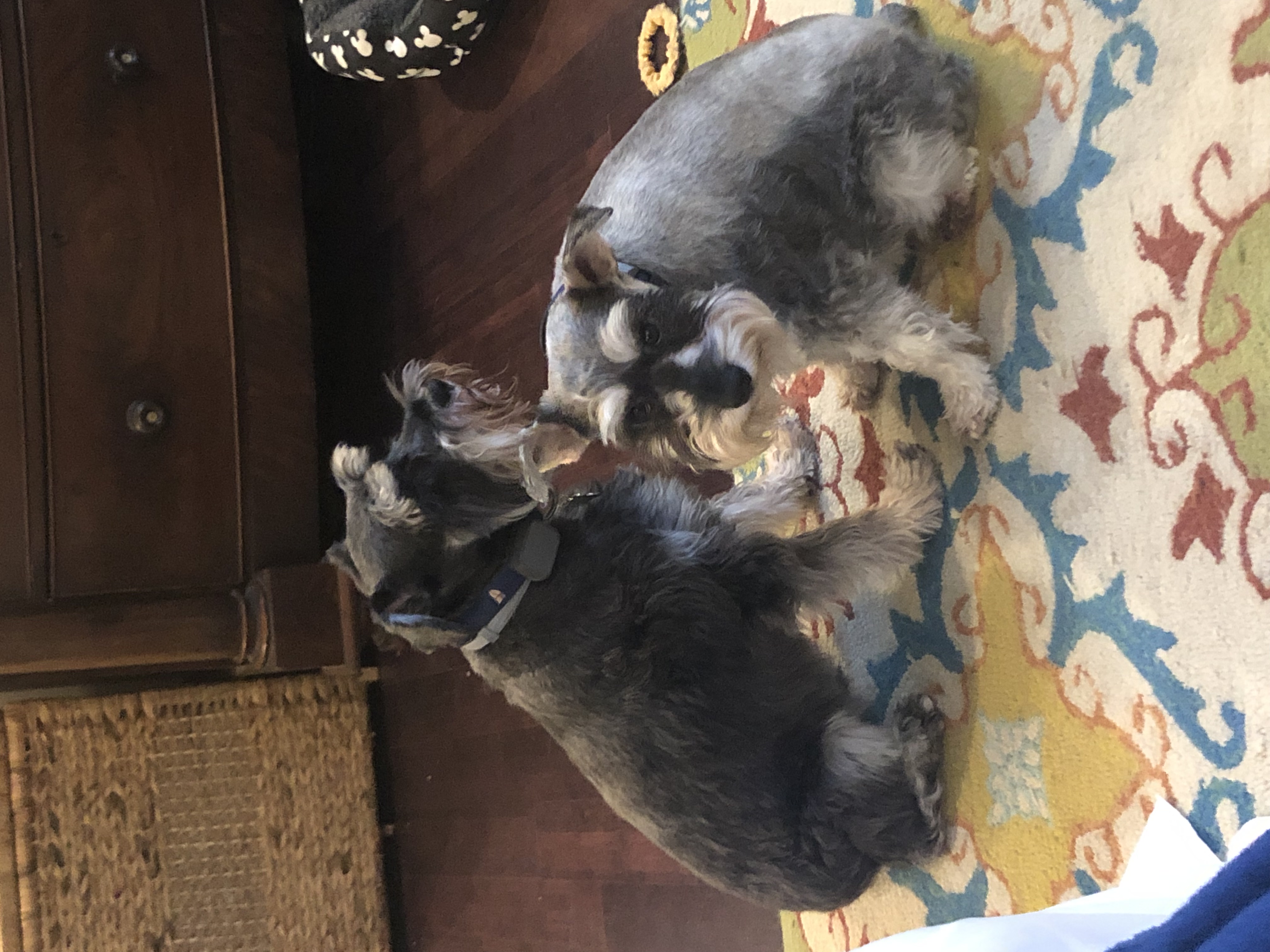 IMG_4065.jpeg