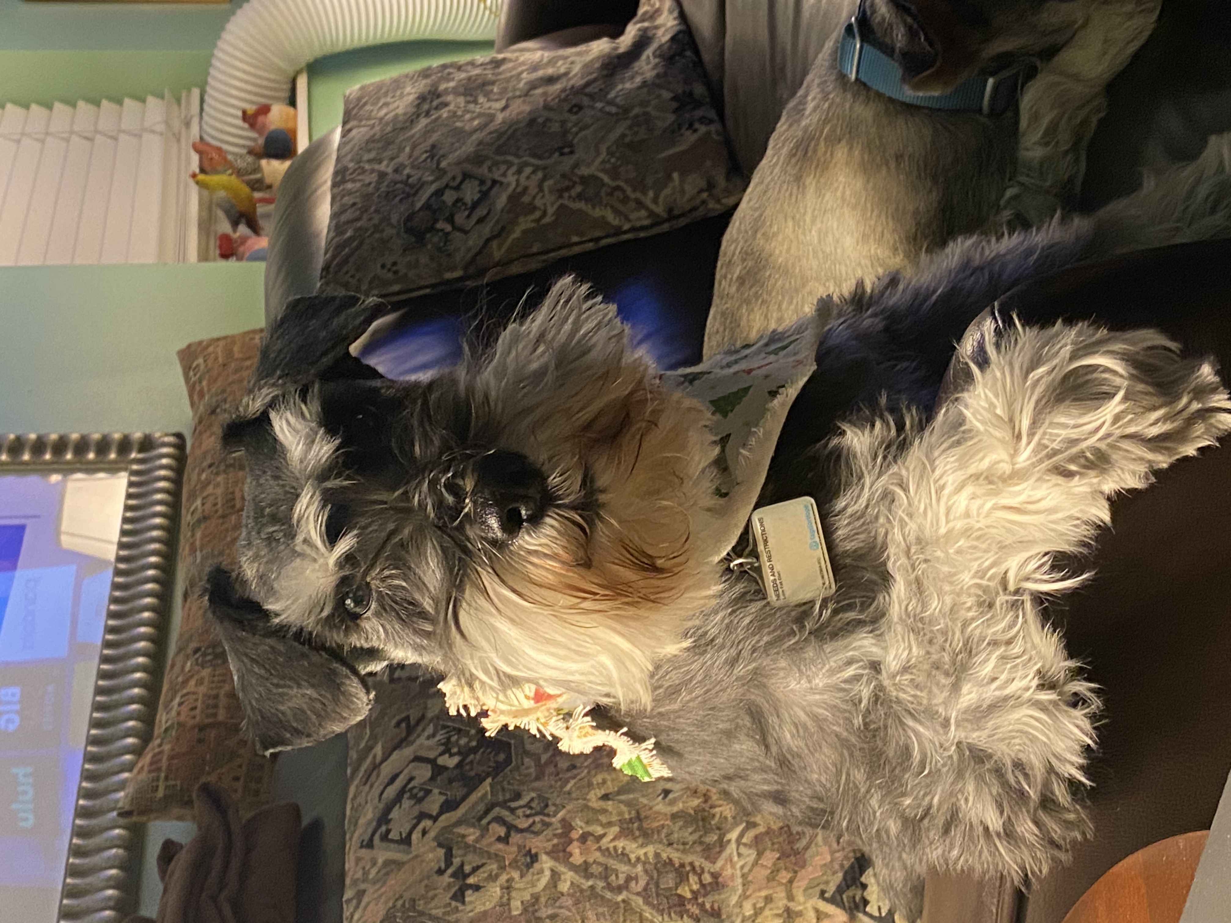 IMG_4487.jpeg