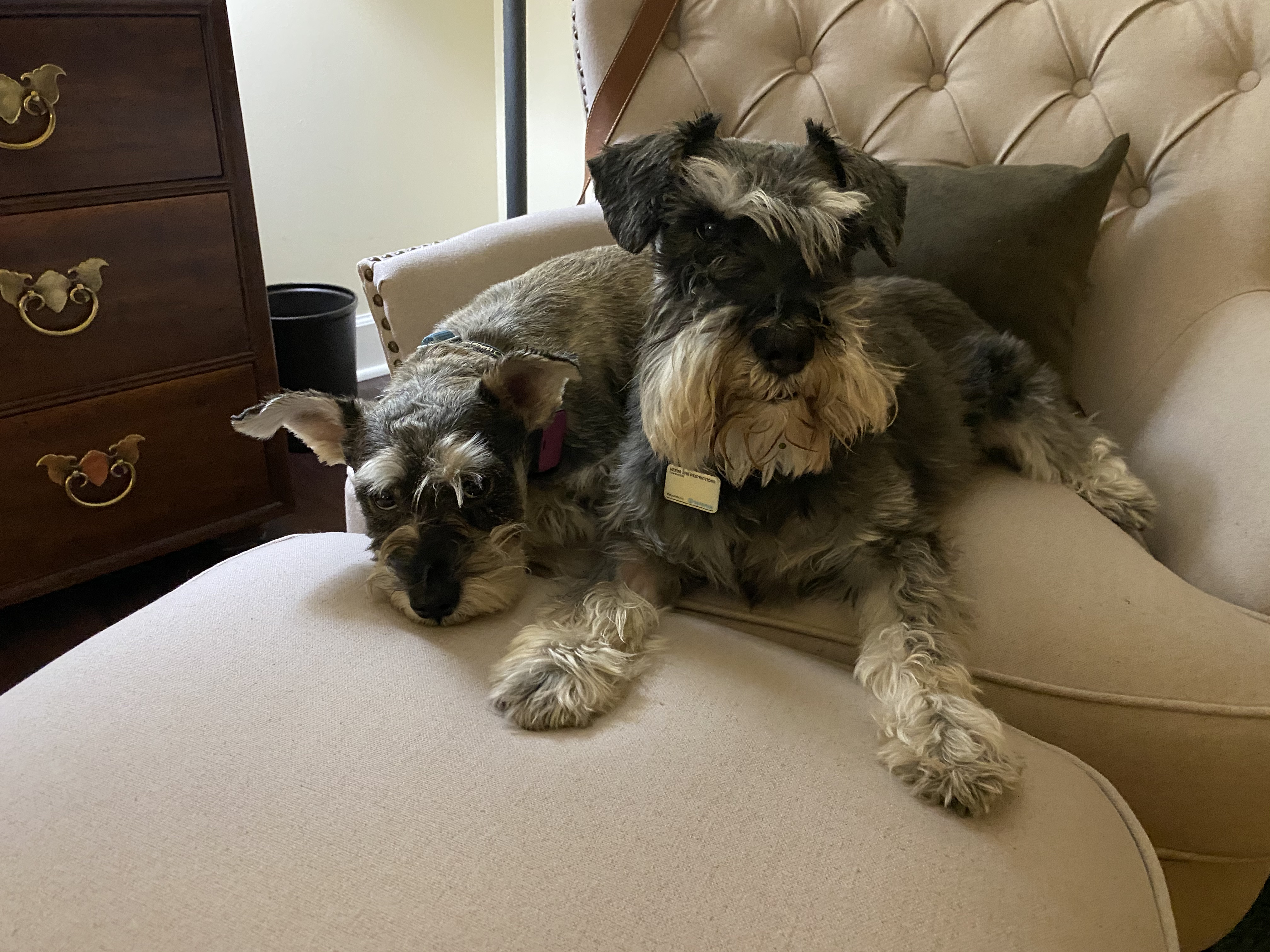 IMG_4967.jpeg