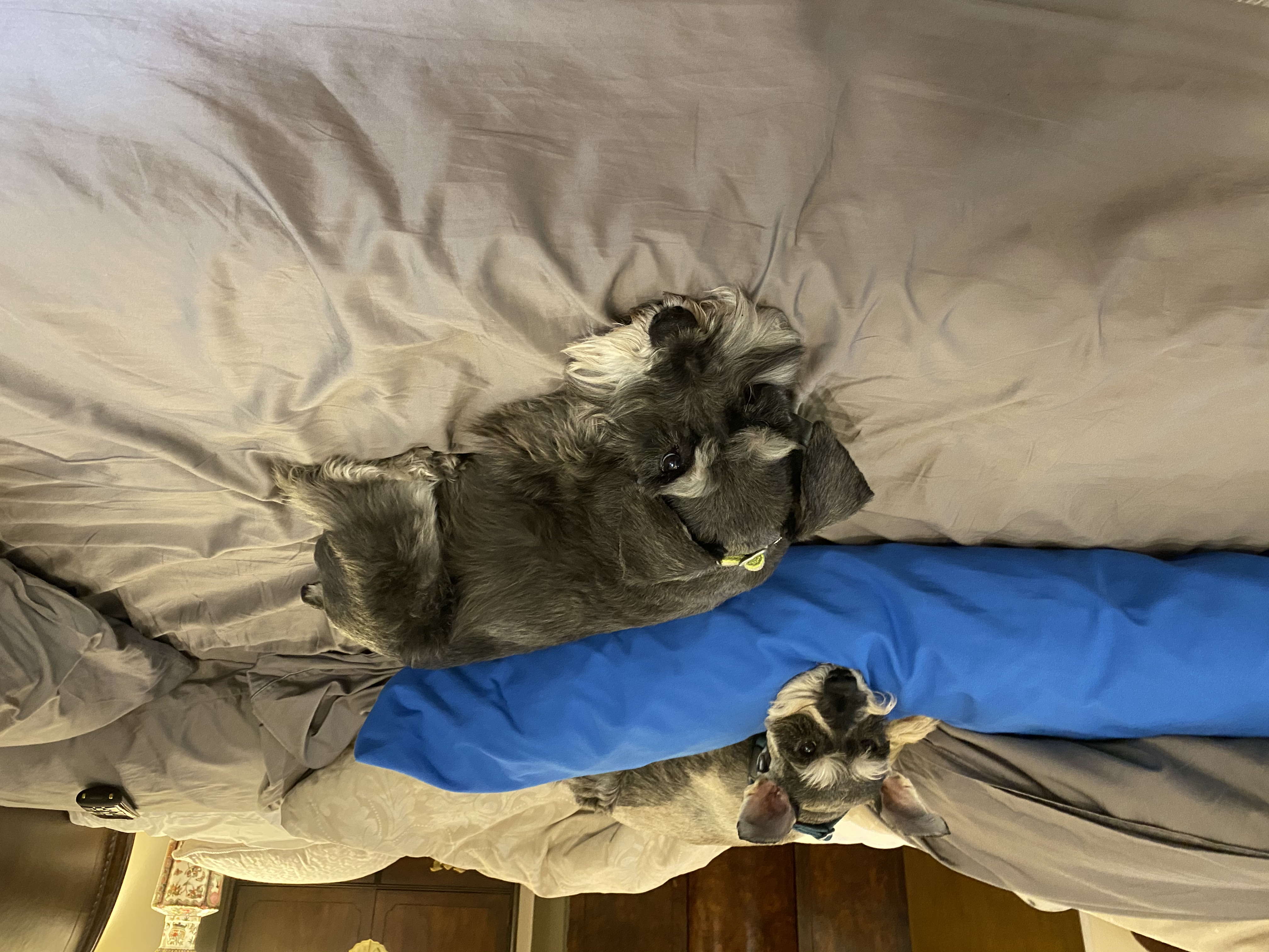 IMG_5201.jpeg