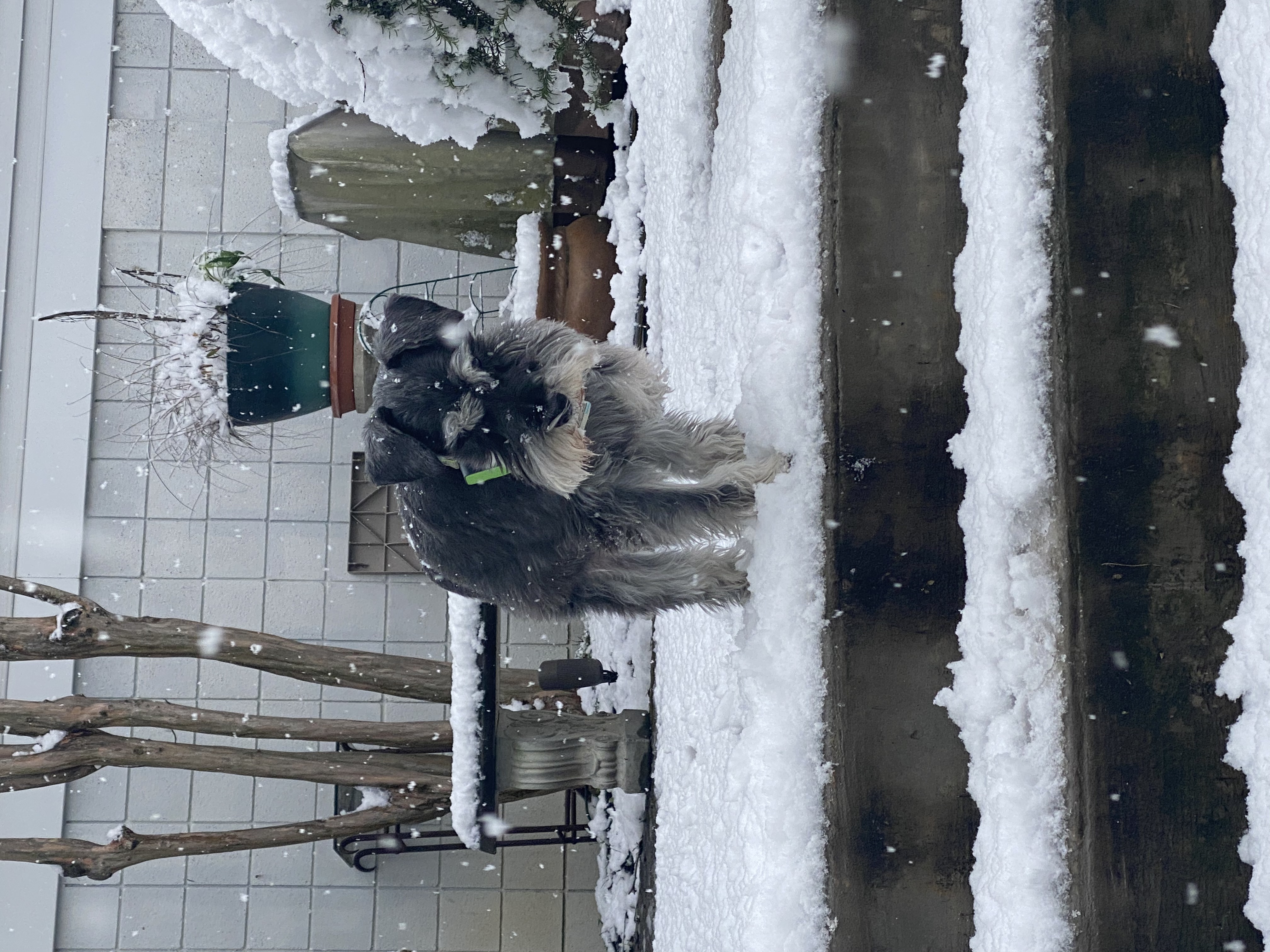 IMG_5344.jpeg