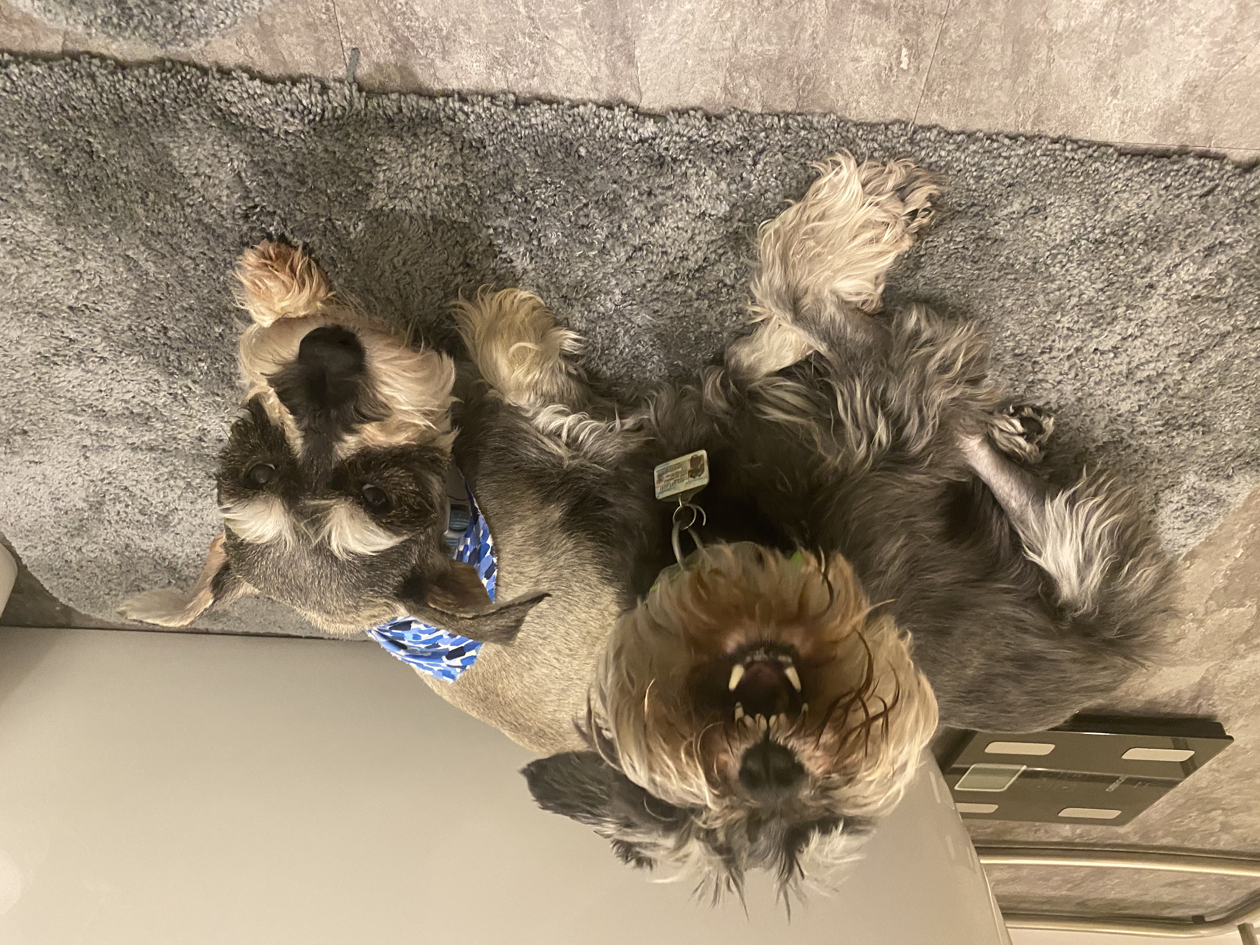 IMG_6172.jpeg