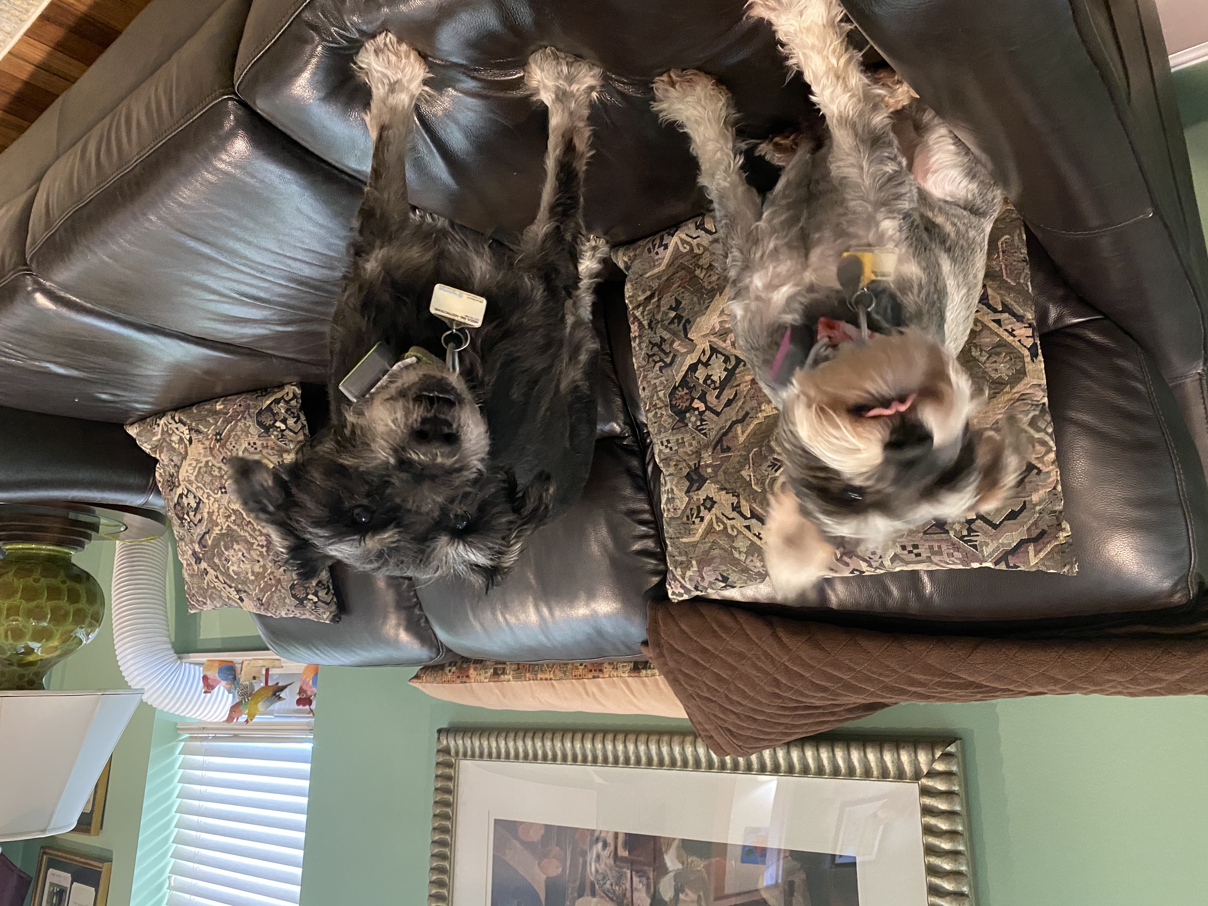 IMG_6637.jpeg