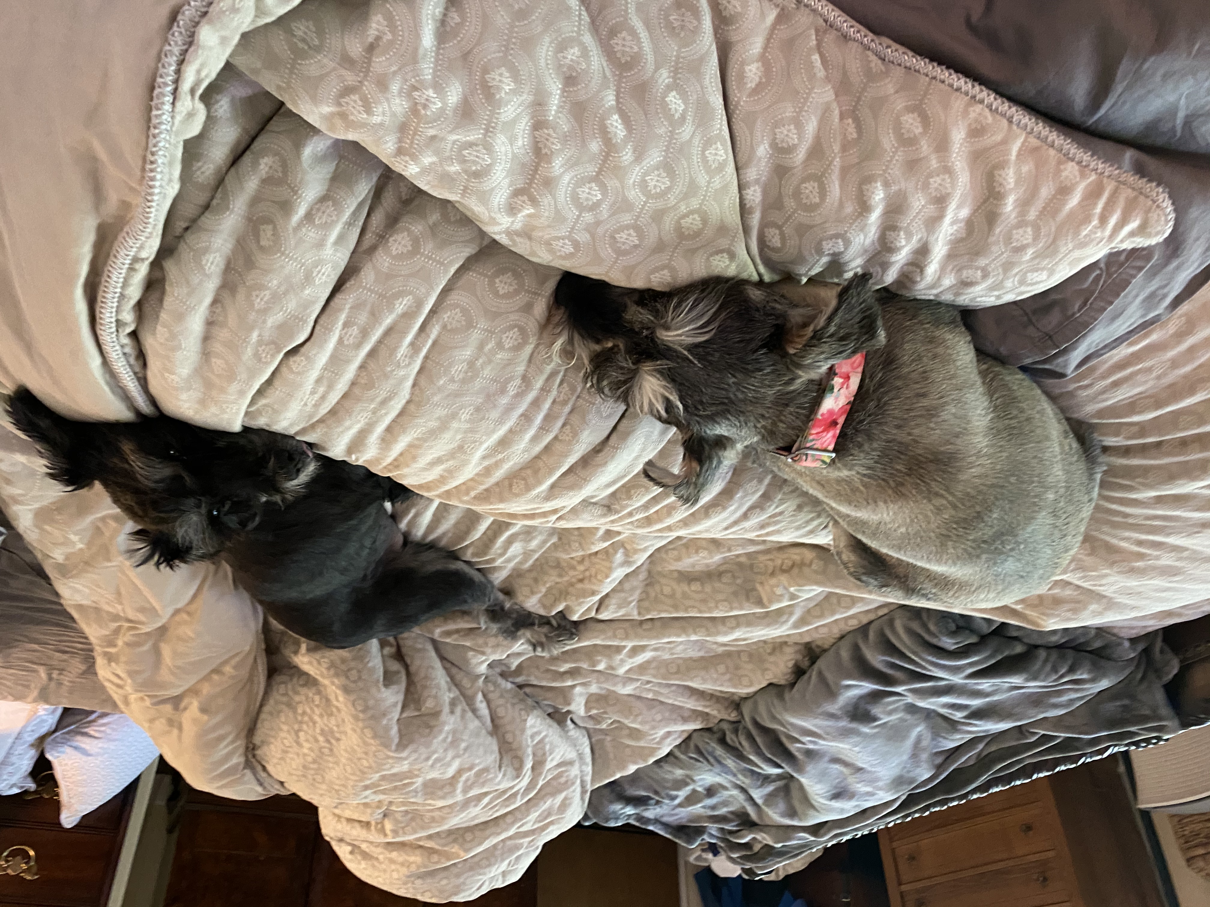 IMG_6660.jpeg
