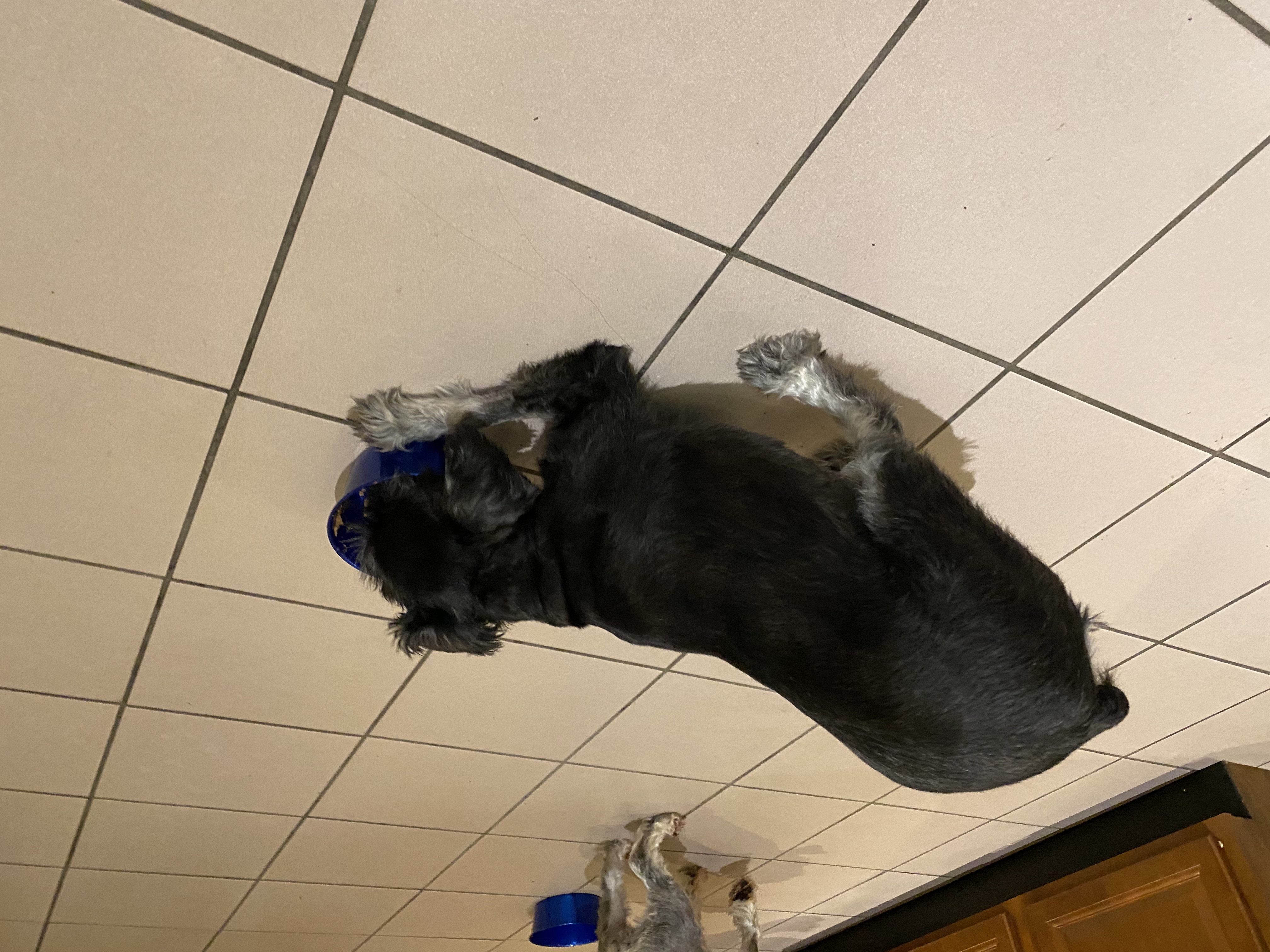 IMG_6817.jpeg