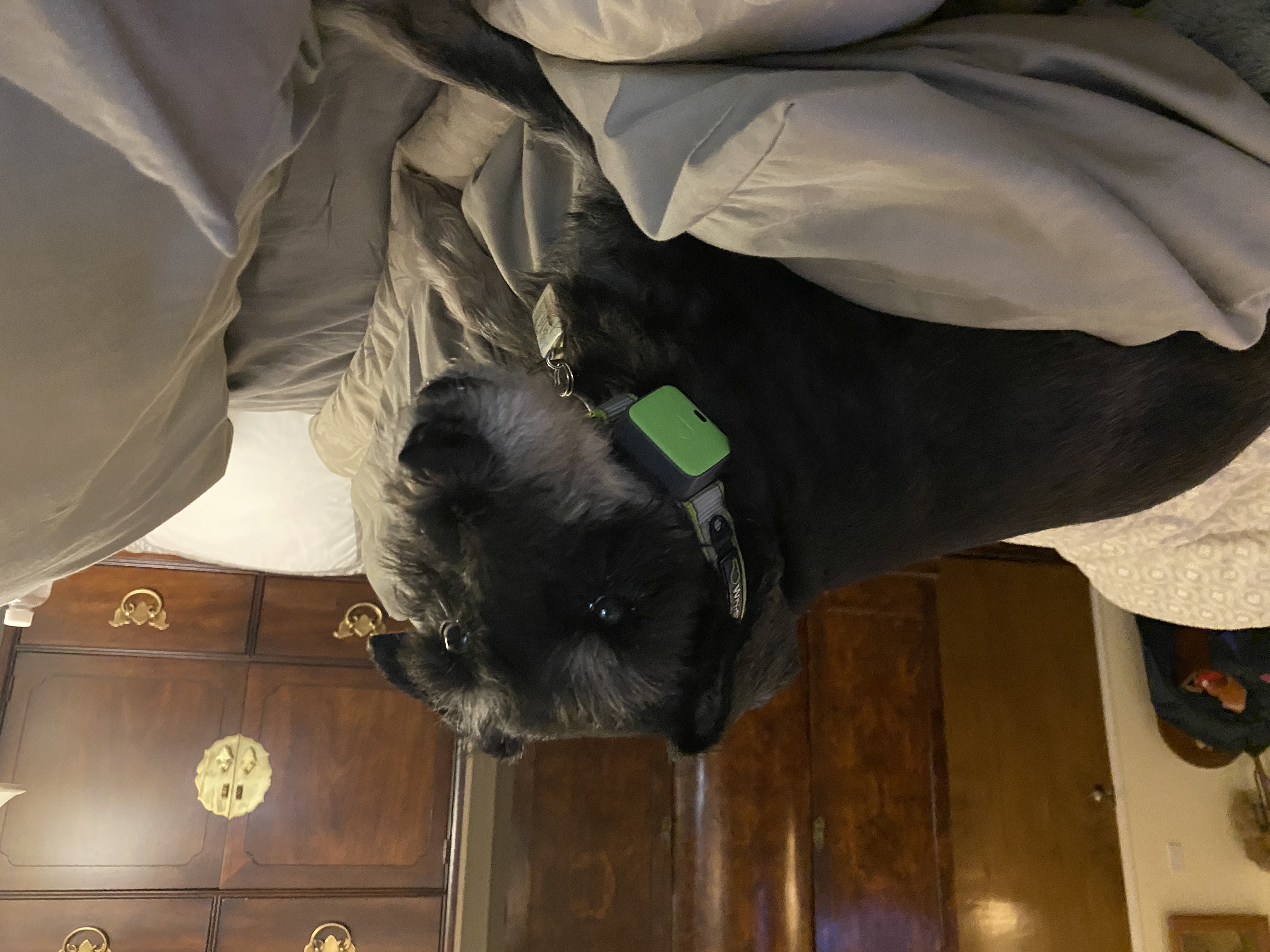 IMG_7022.jpeg