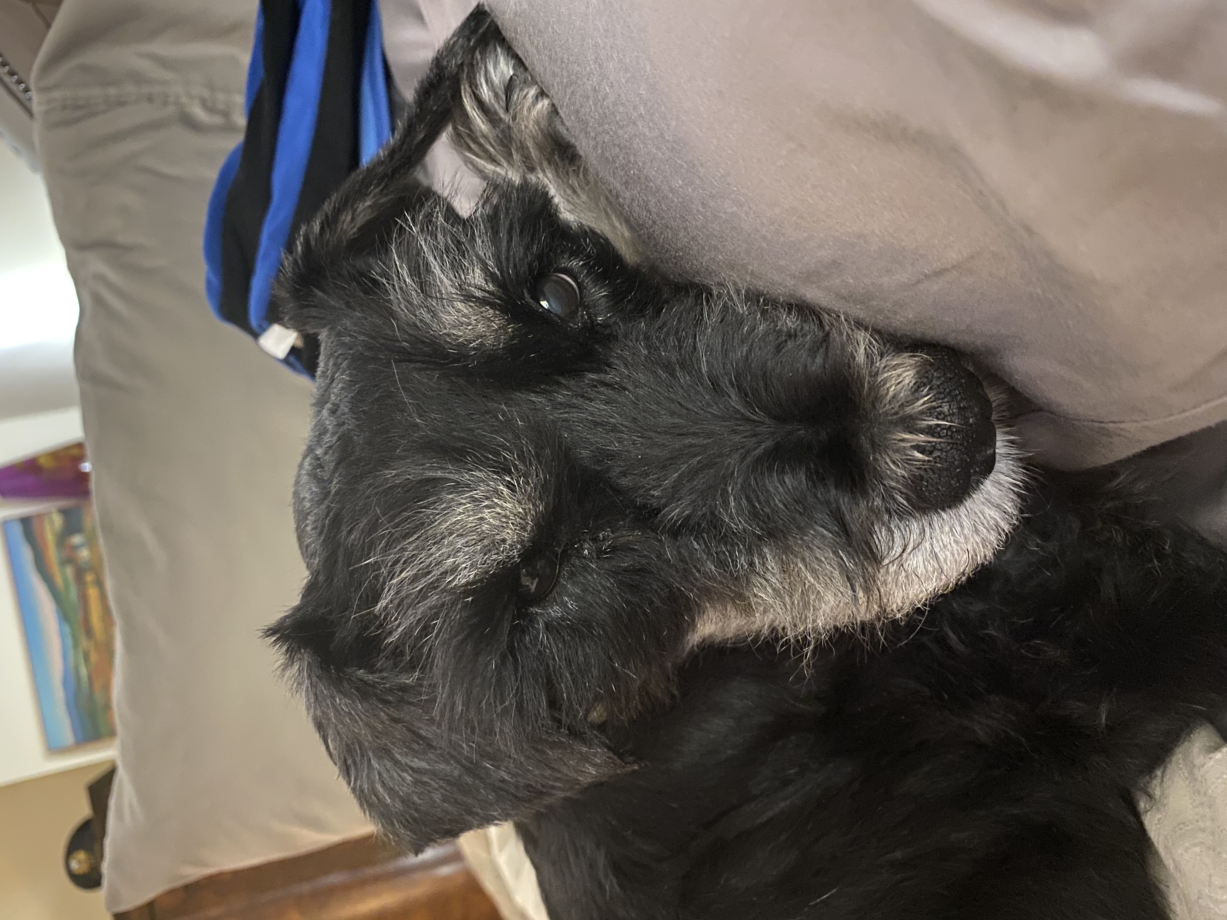 IMG_7222.jpeg