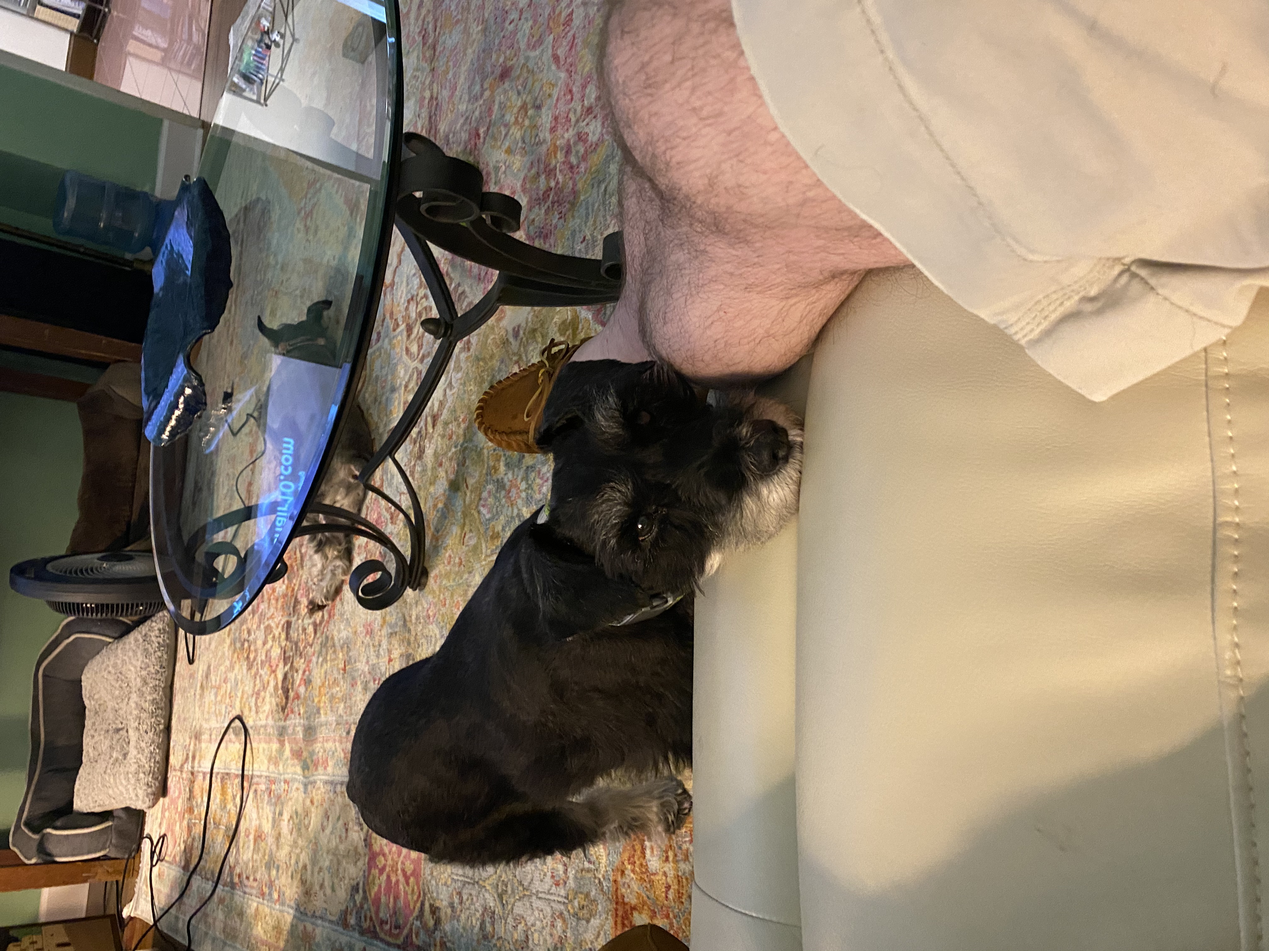 IMG_7593.jpeg