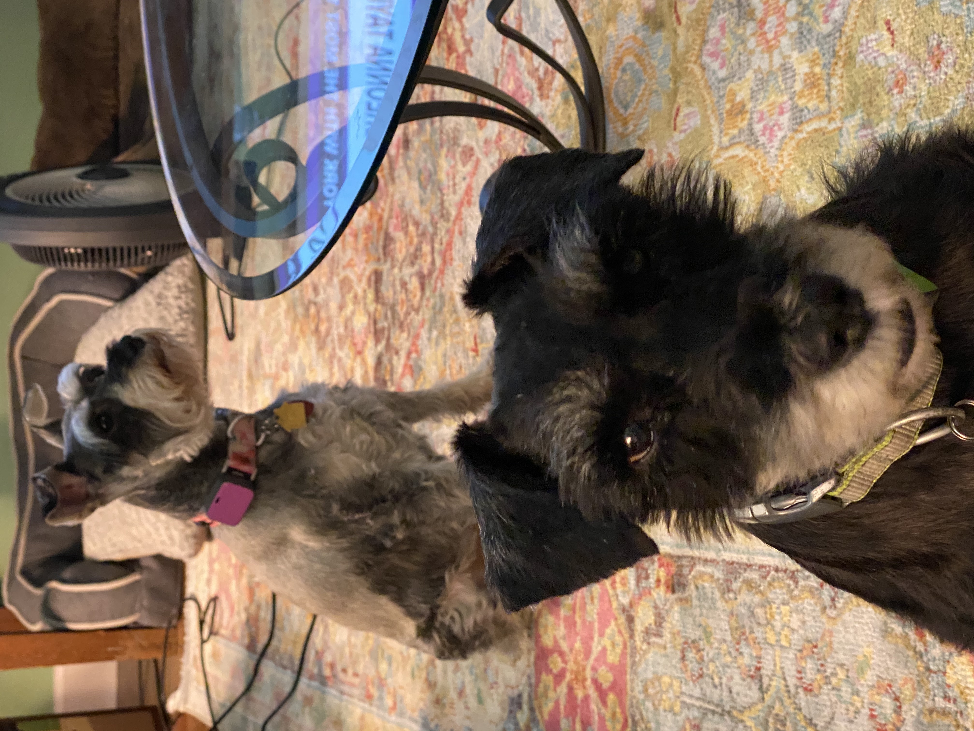 IMG_7601.jpeg