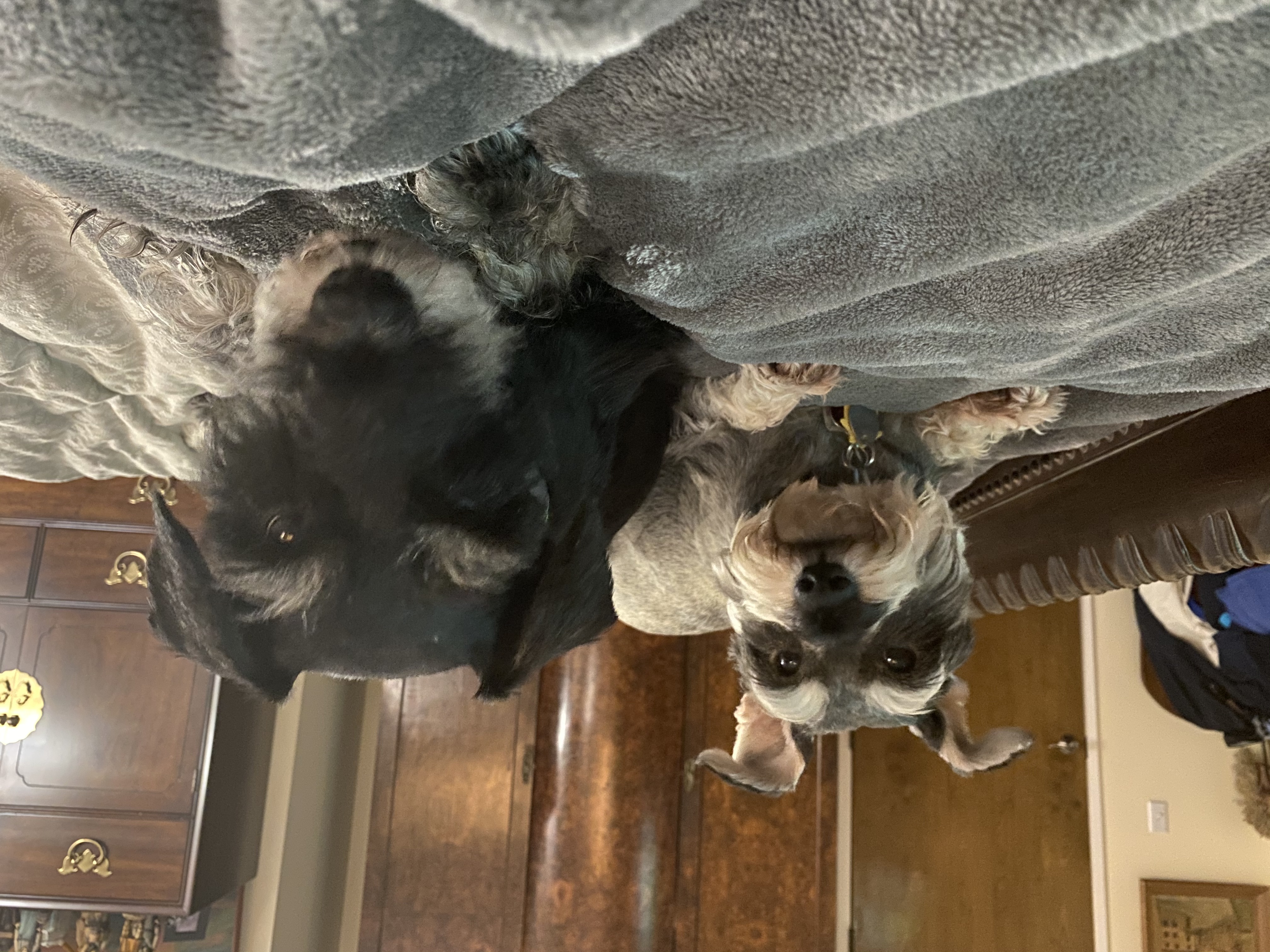 IMG_7757.jpeg
