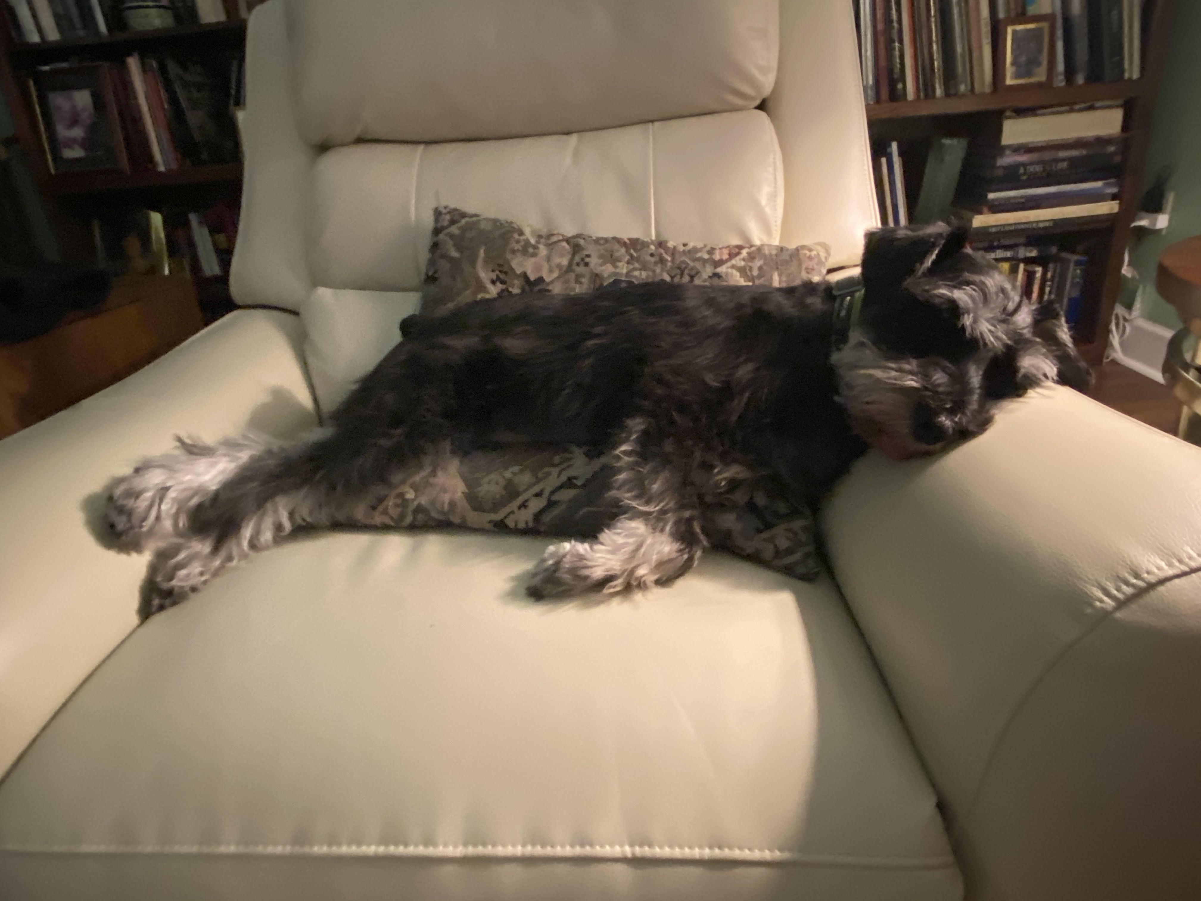 IMG_8298.jpeg
