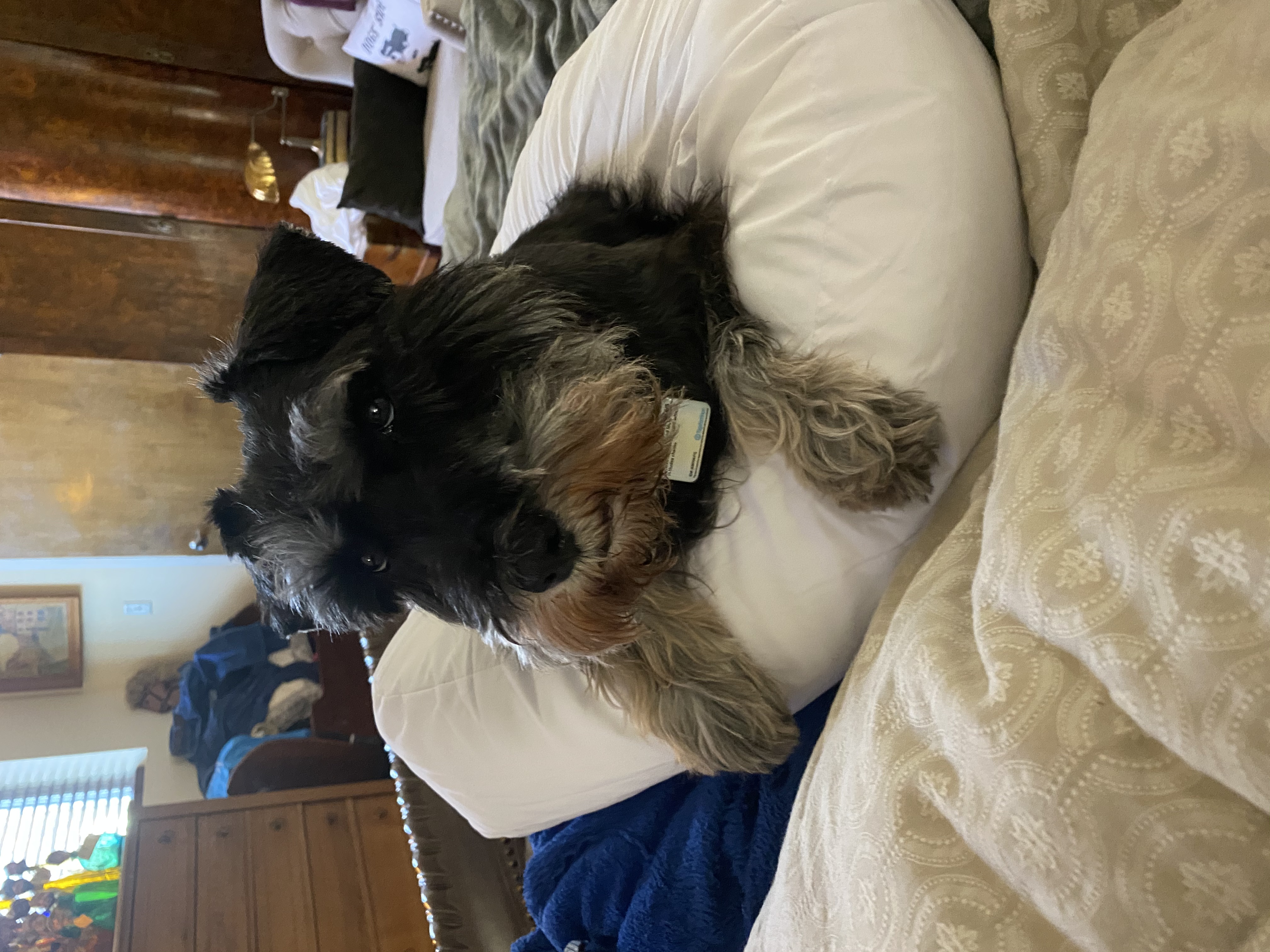 IMG_9030.jpeg