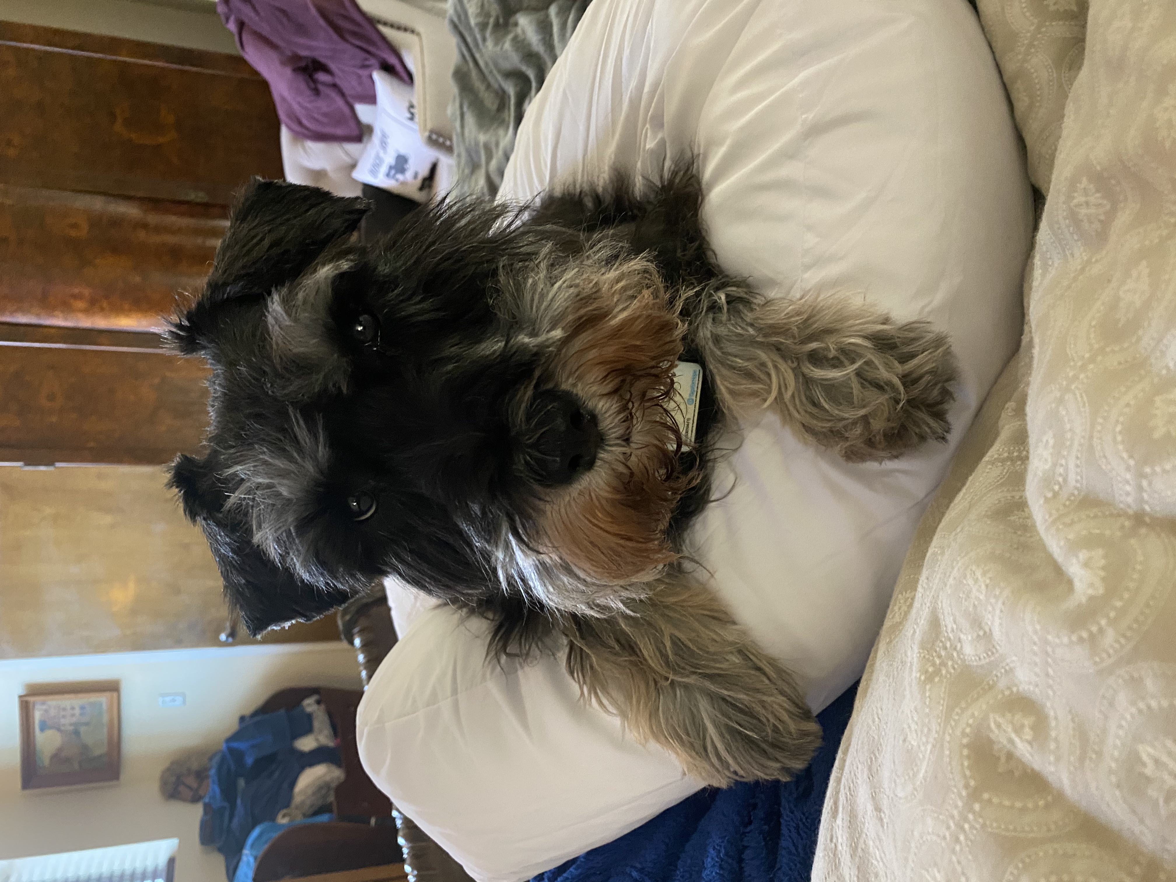 IMG_9032.jpeg