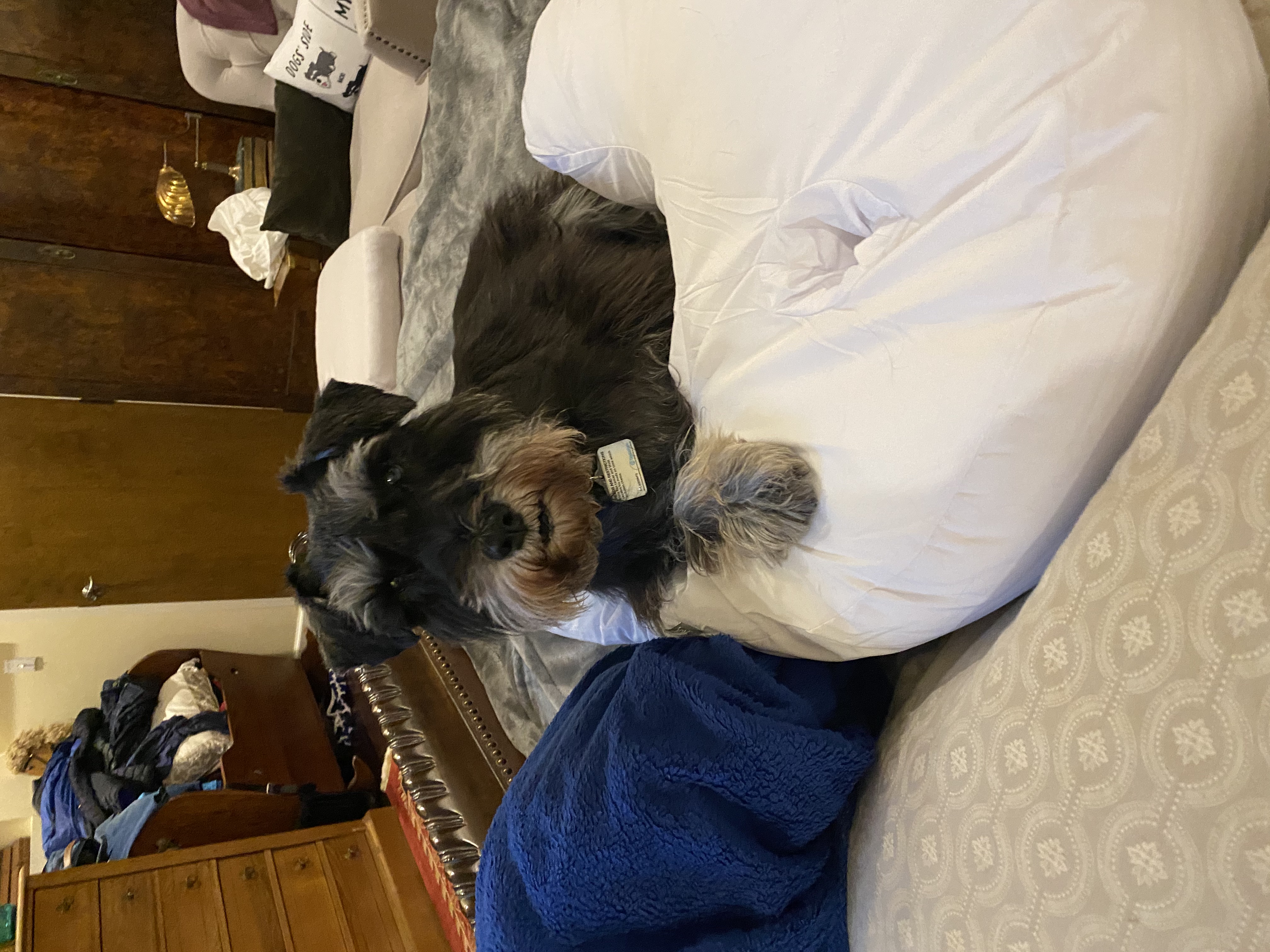 IMG_9056.jpeg