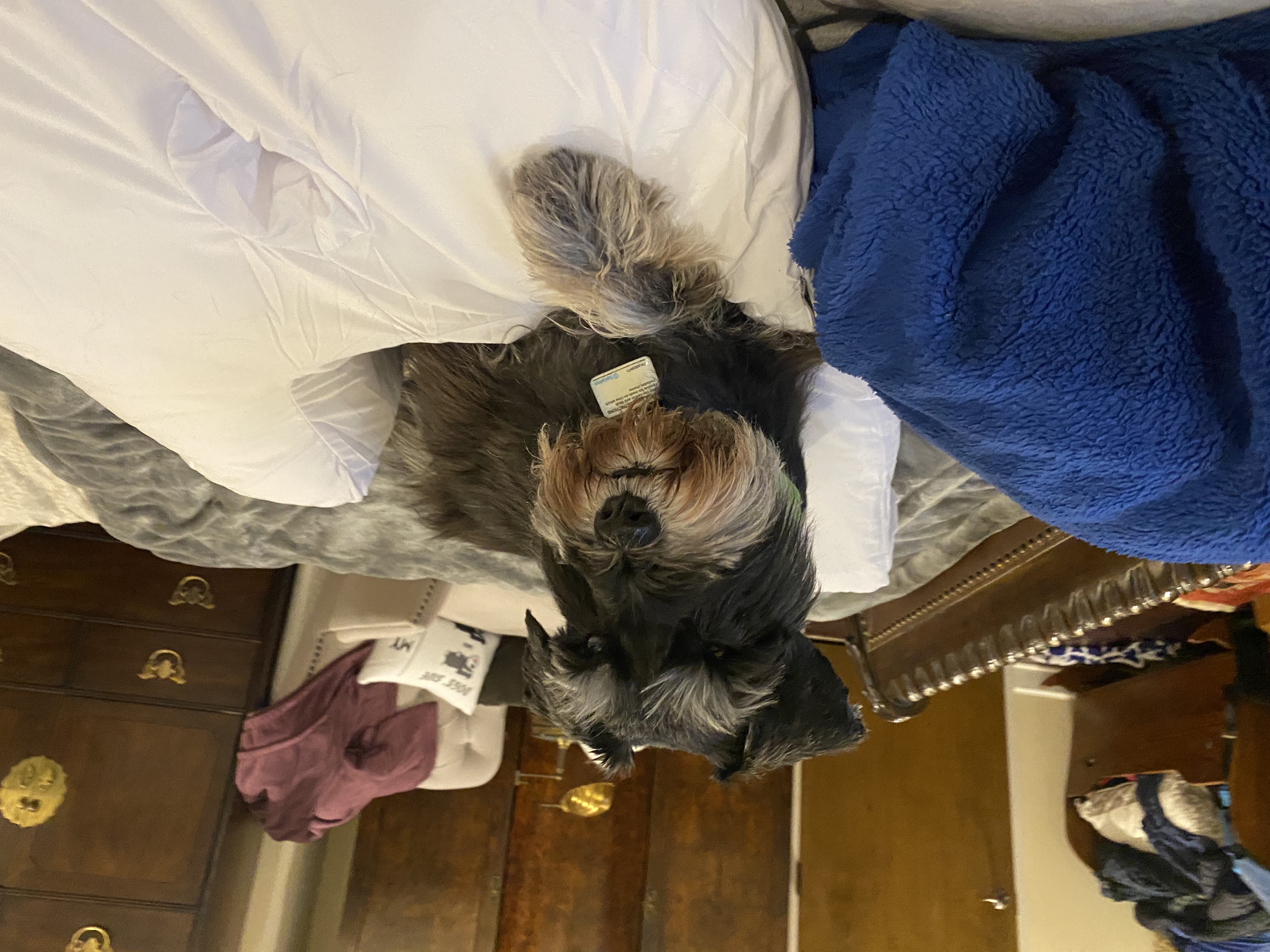 IMG_9060.jpeg