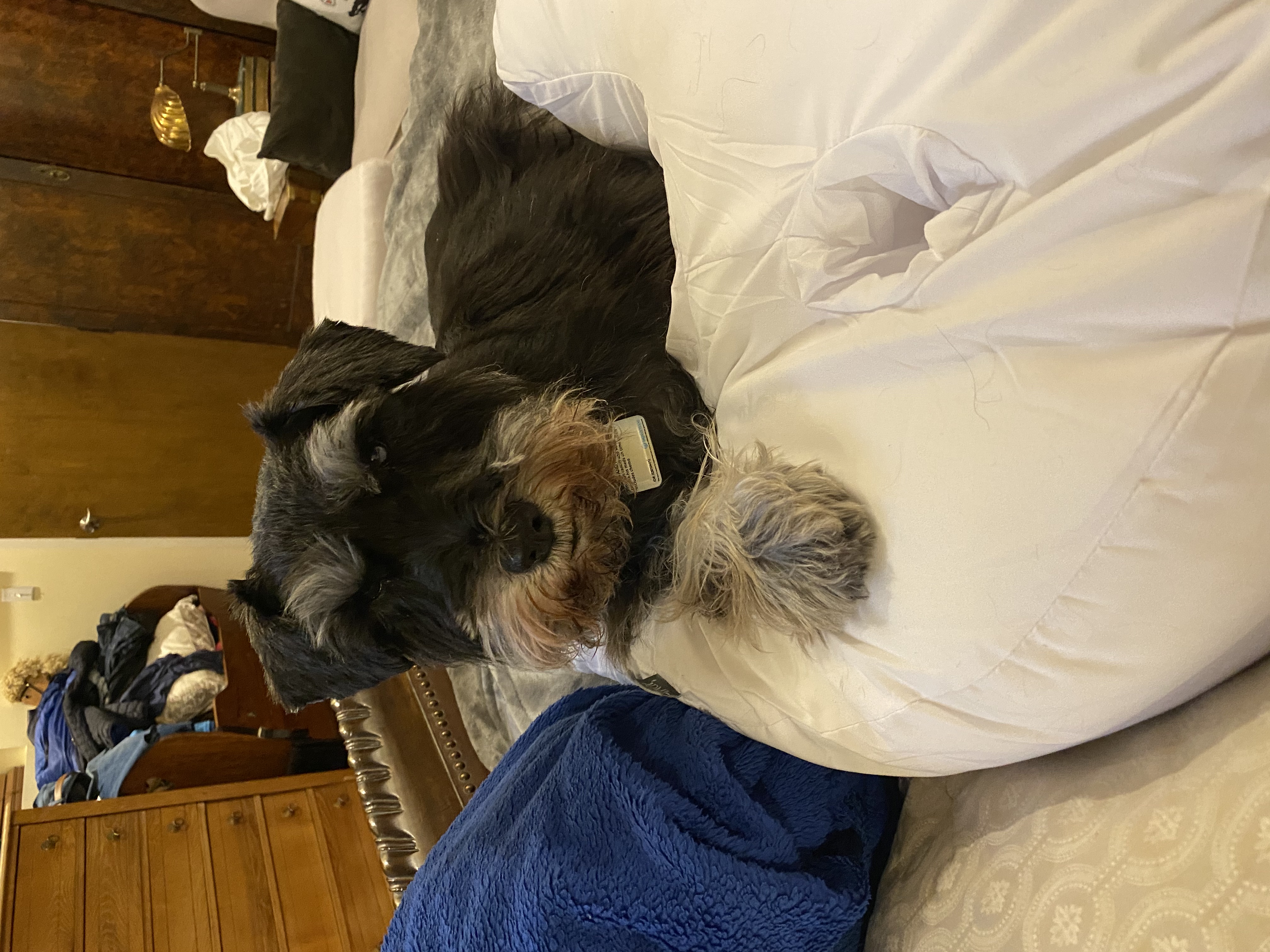 IMG_9070.jpeg
