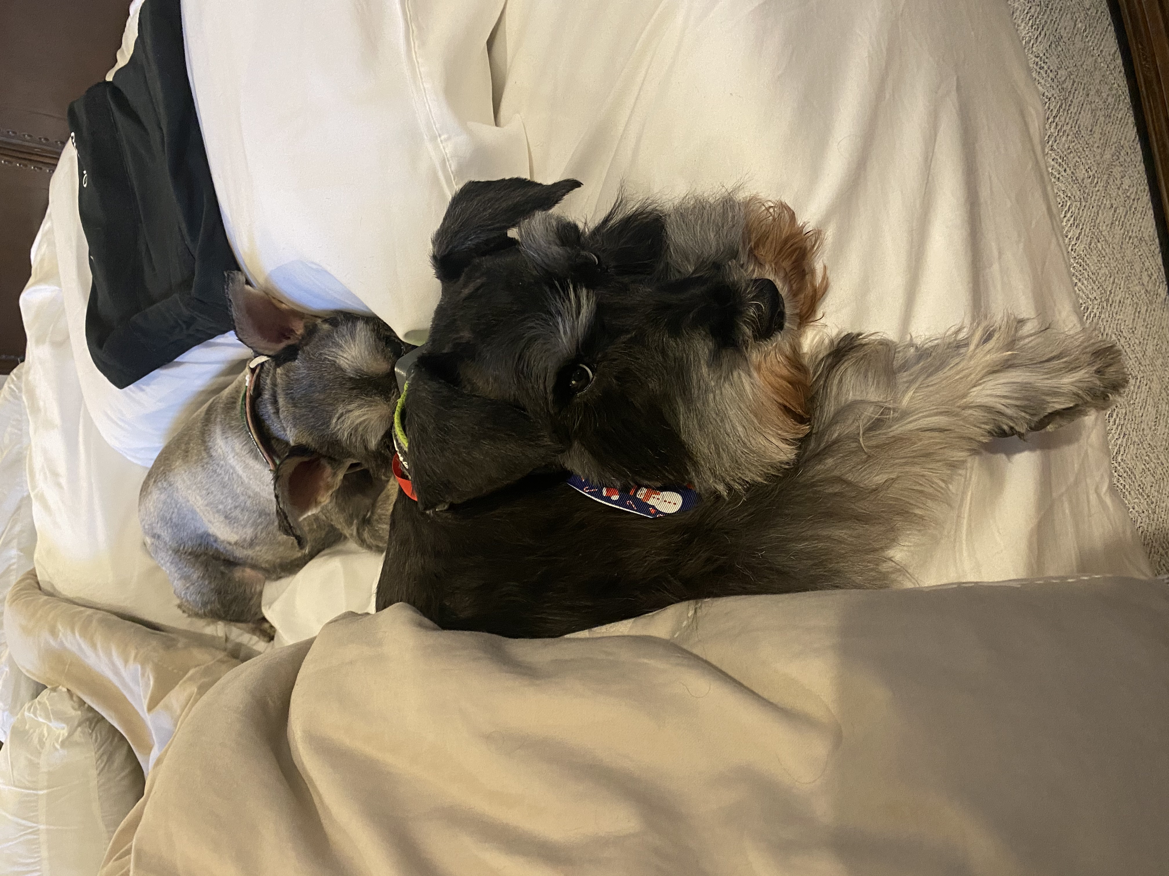 IMG_9123.jpeg