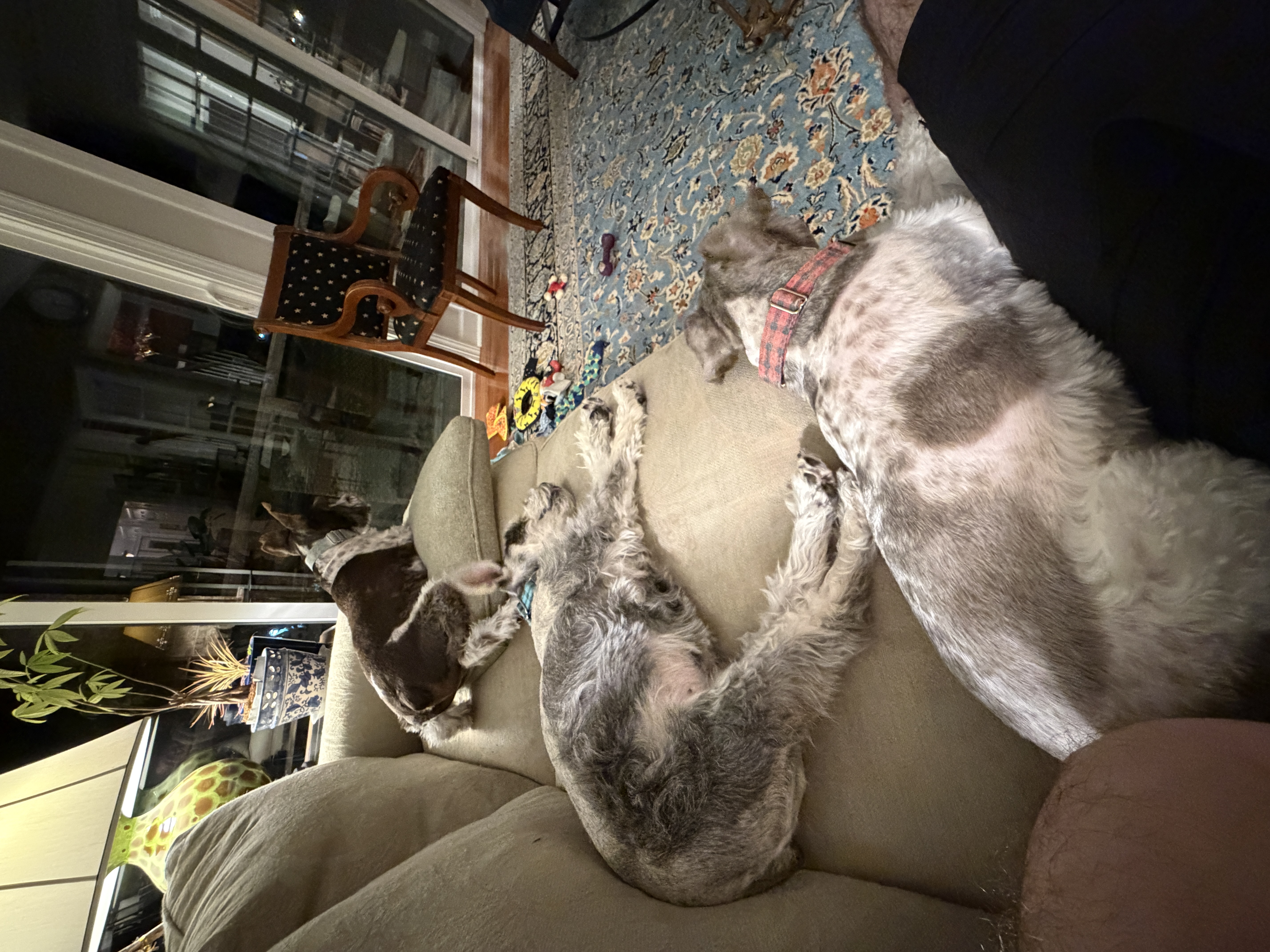 083BFB89-A5FC-47A7-A9F1-9A5C584E0990.jpeg