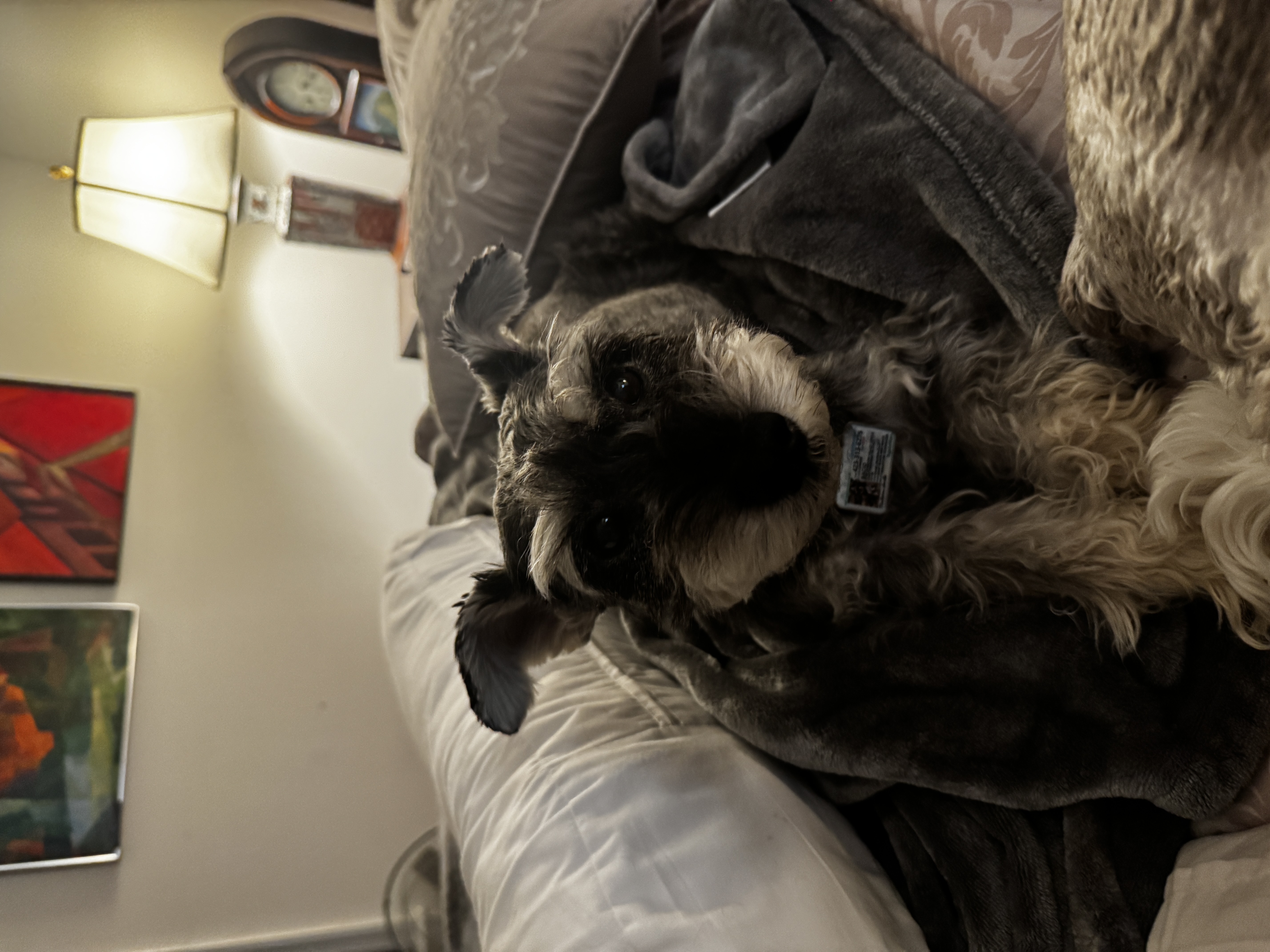 19C71790-63A4-493C-B079-4B5B970110A7.jpeg