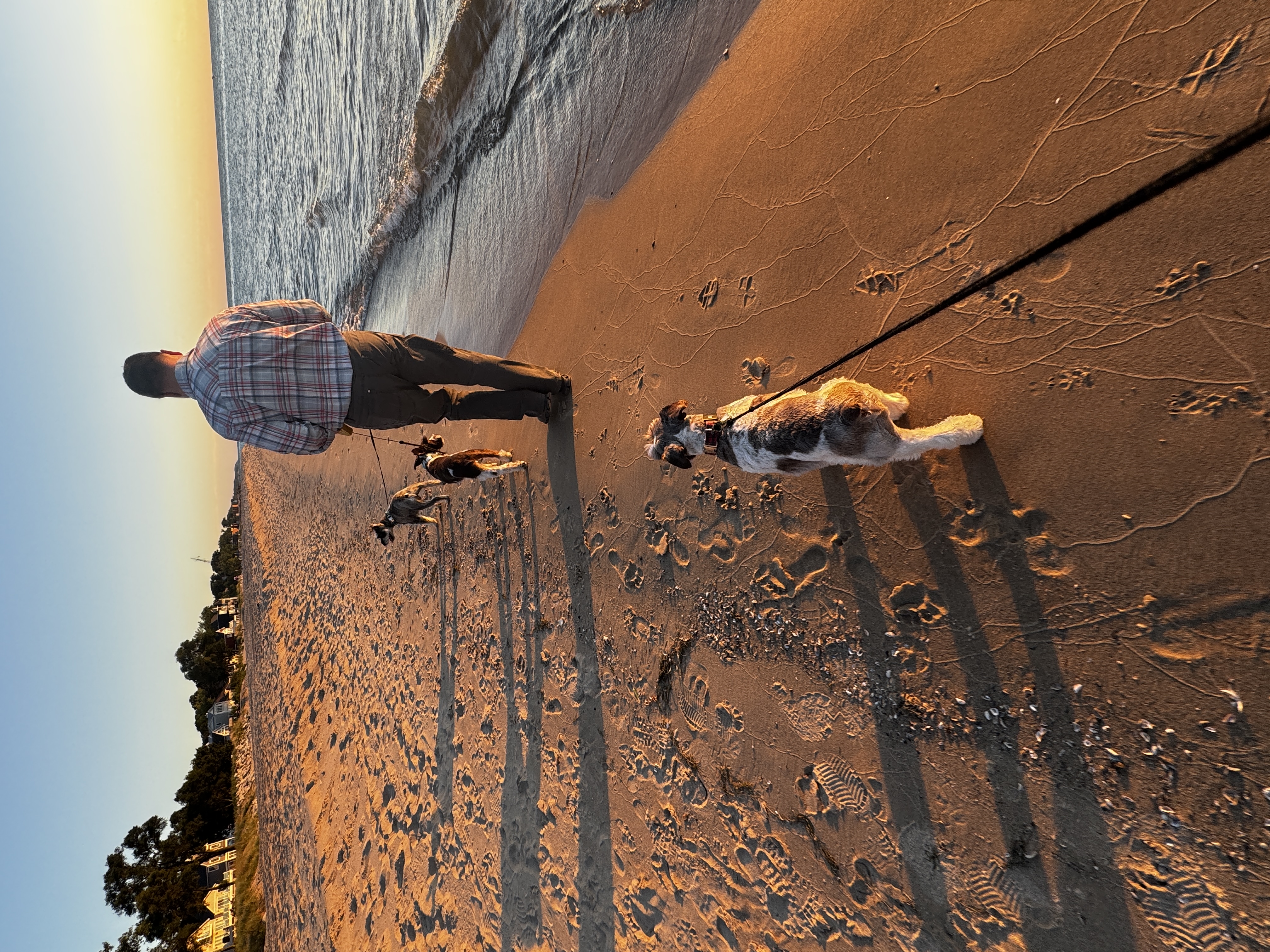 61A08179-633D-4285-AC3C-CE6375F3F5A9.jpeg