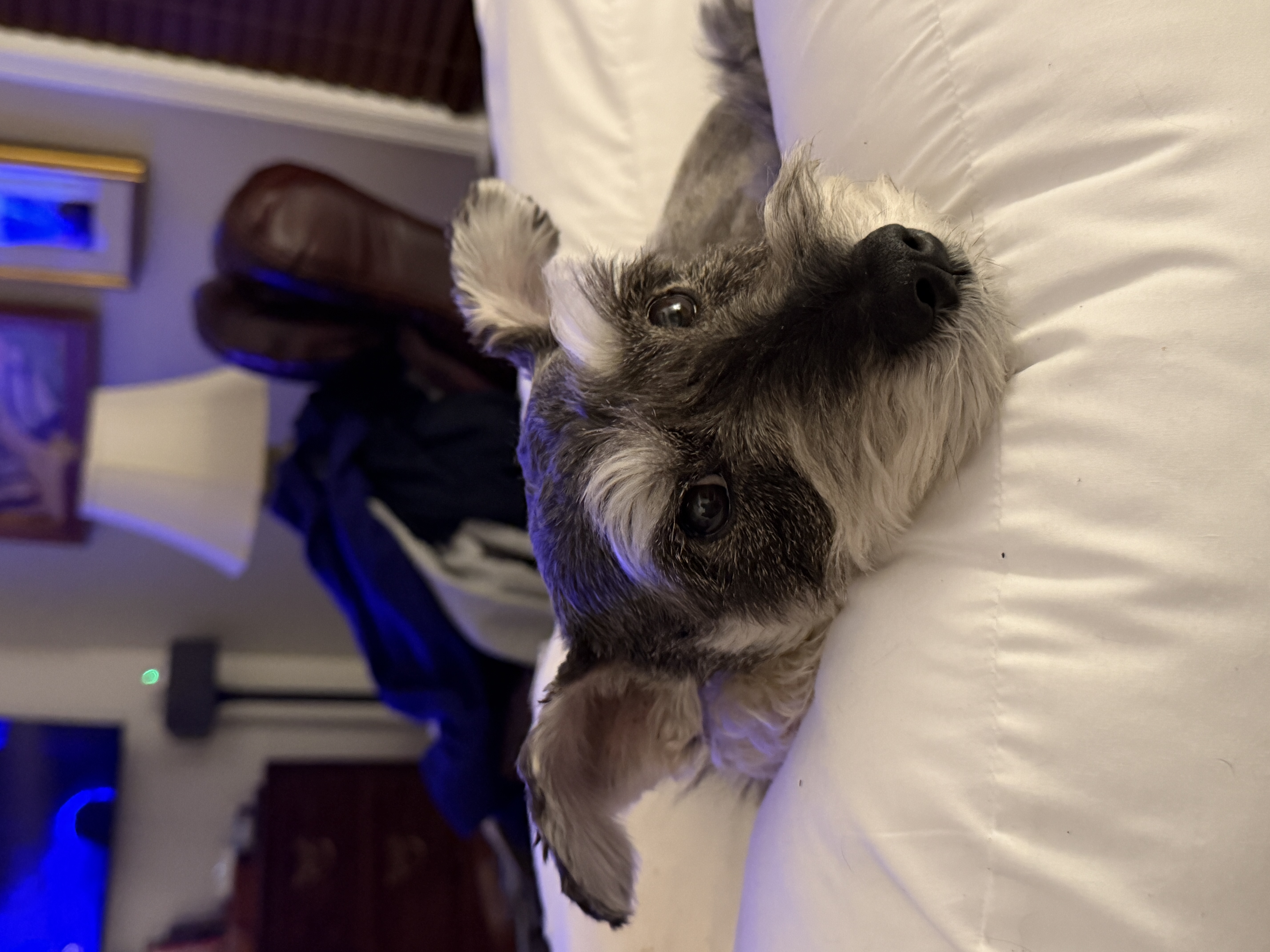 8F293D32-74FA-463B-A62E-551267503E67.jpeg