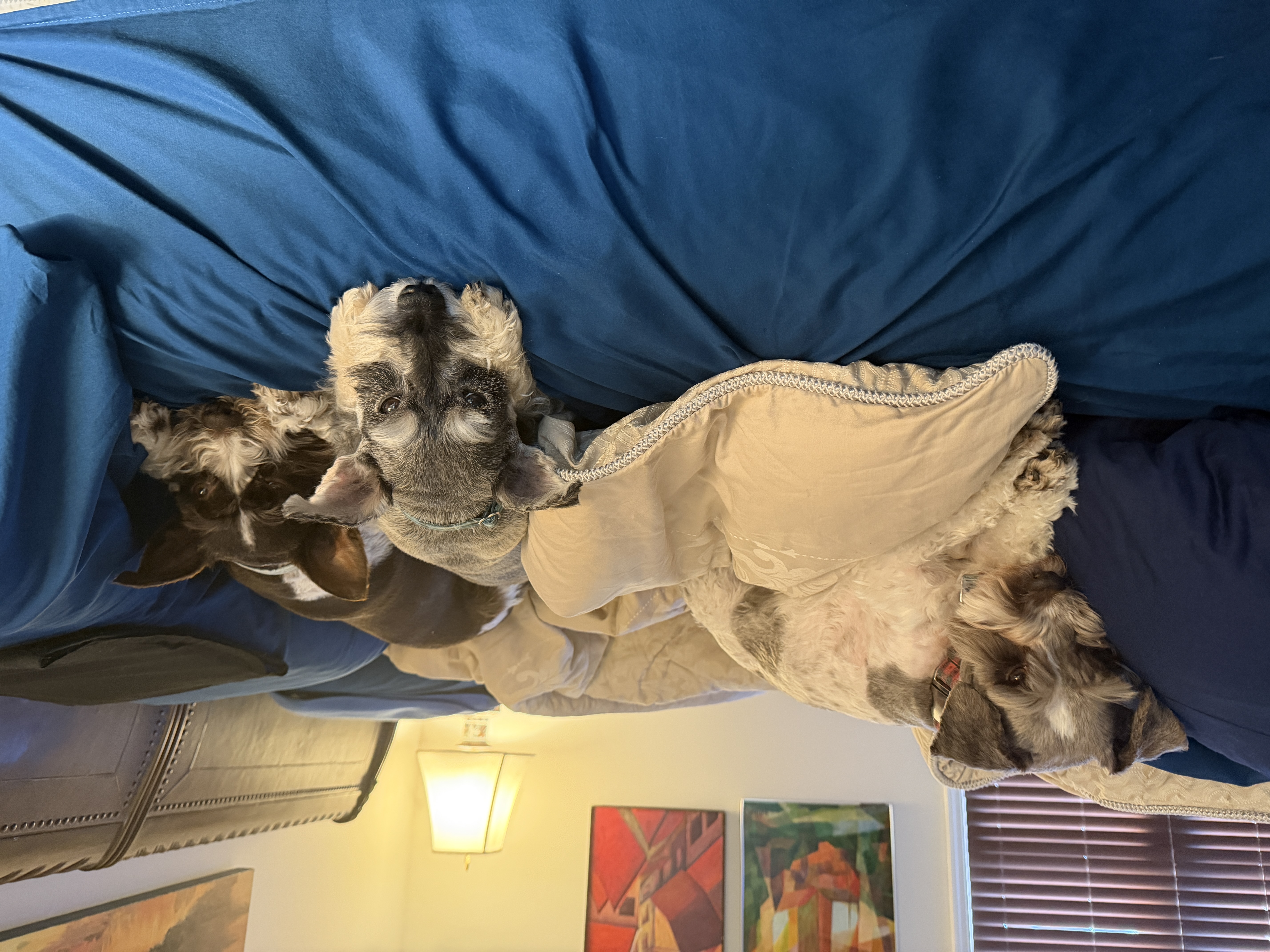 D18BD50A-E24B-49A1-92C7-3600C27C1D24.jpeg