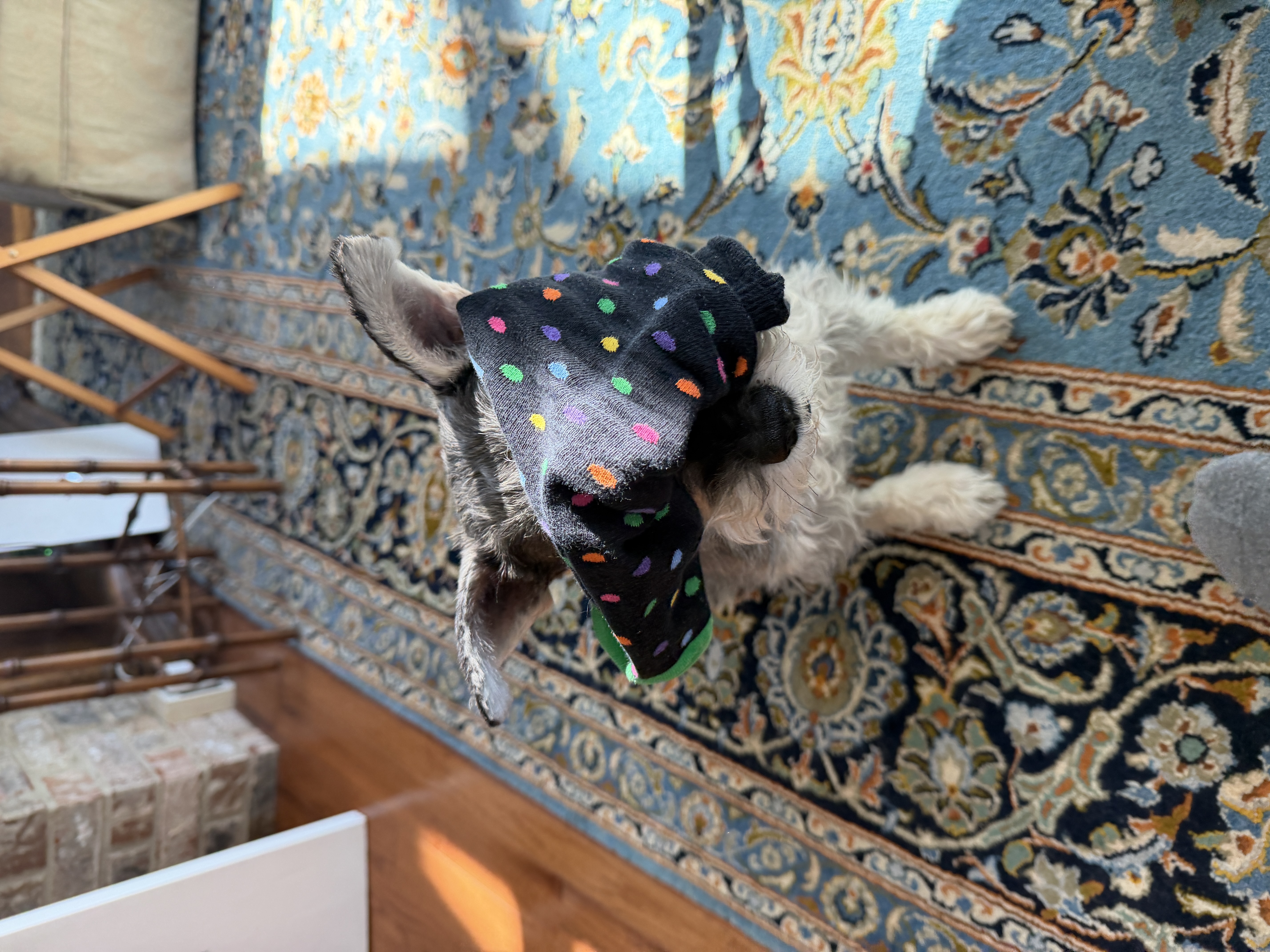 D421DCFE-E0FD-4697-A165-859AF0E1D264.jpeg