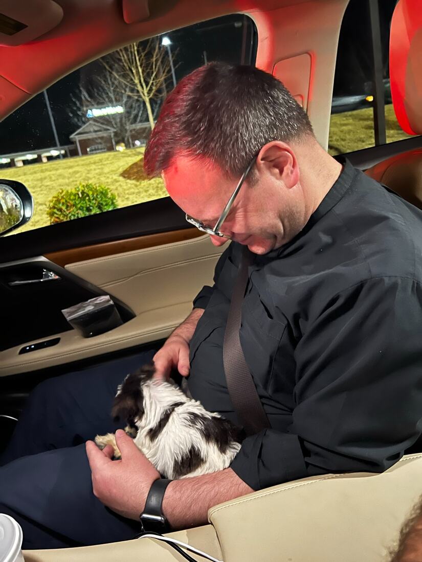 bosco-puppy-car.jpg