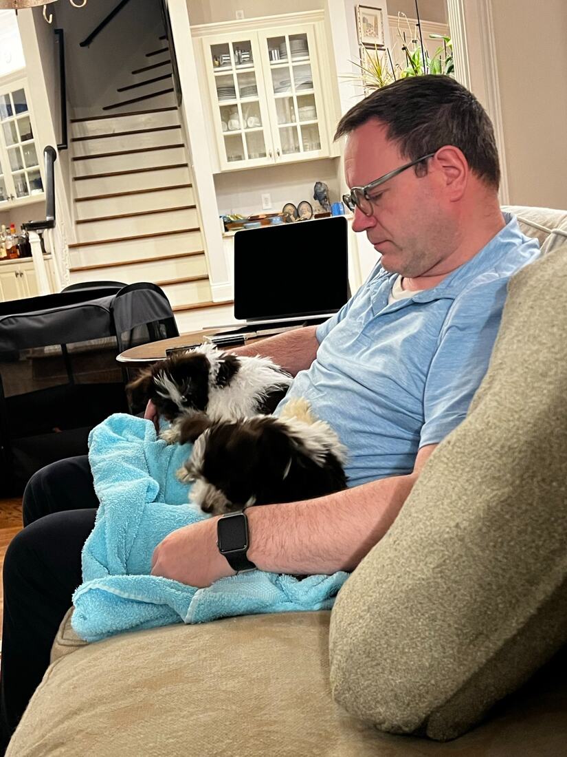 bosco-puppy-towel.jpg