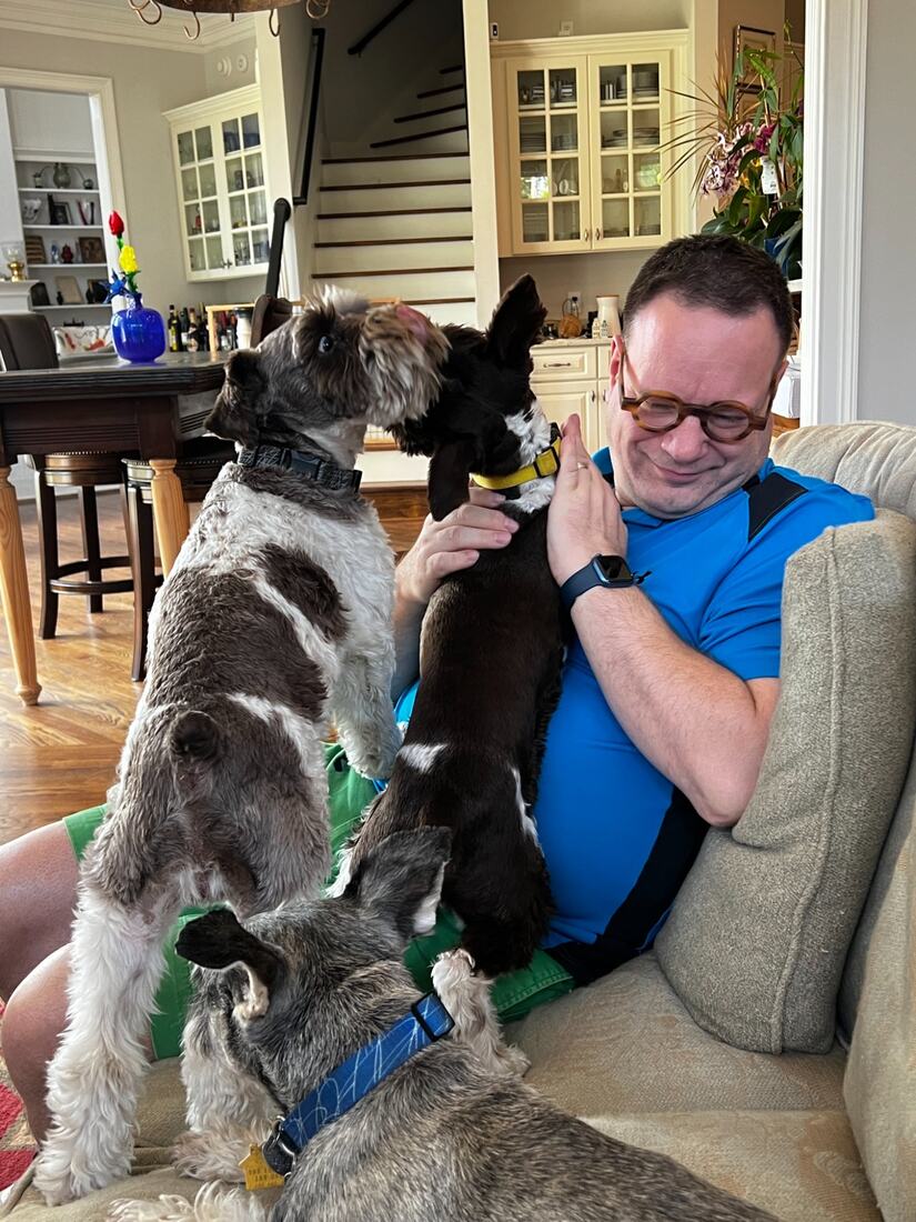 three-schnauzers.jpg